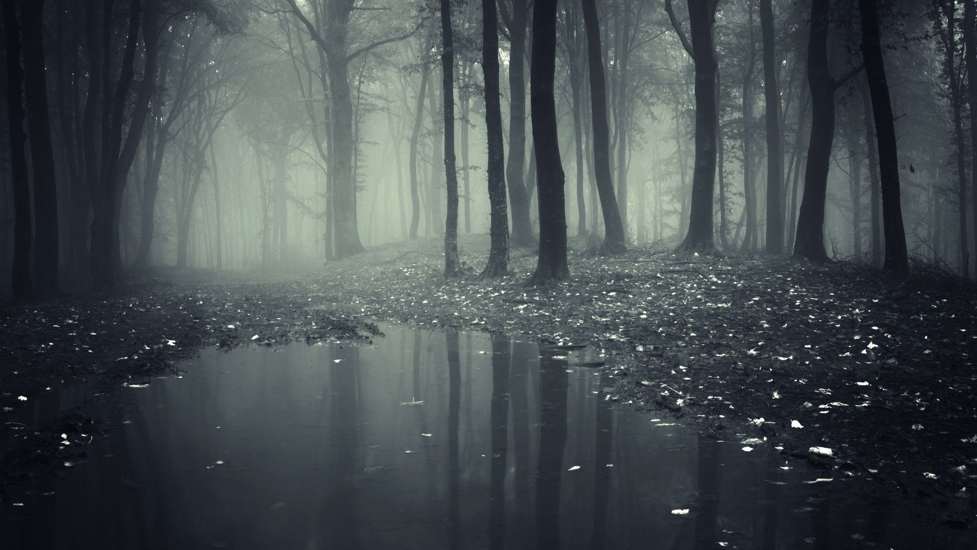 1920x1080 Gloomy Wallpaper