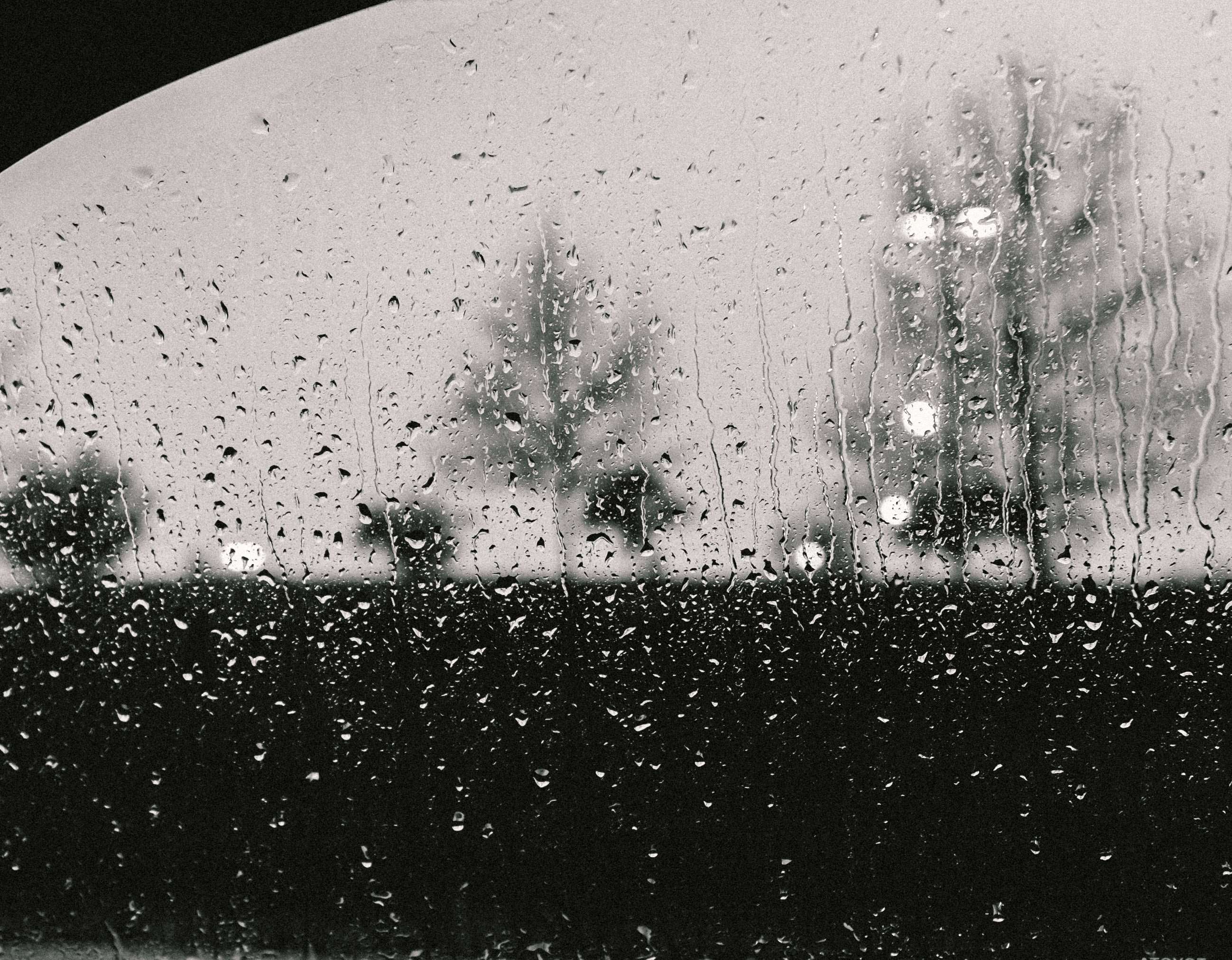 2597x2025 black and white, bleak, droplets, rain, trees, water wallpaper