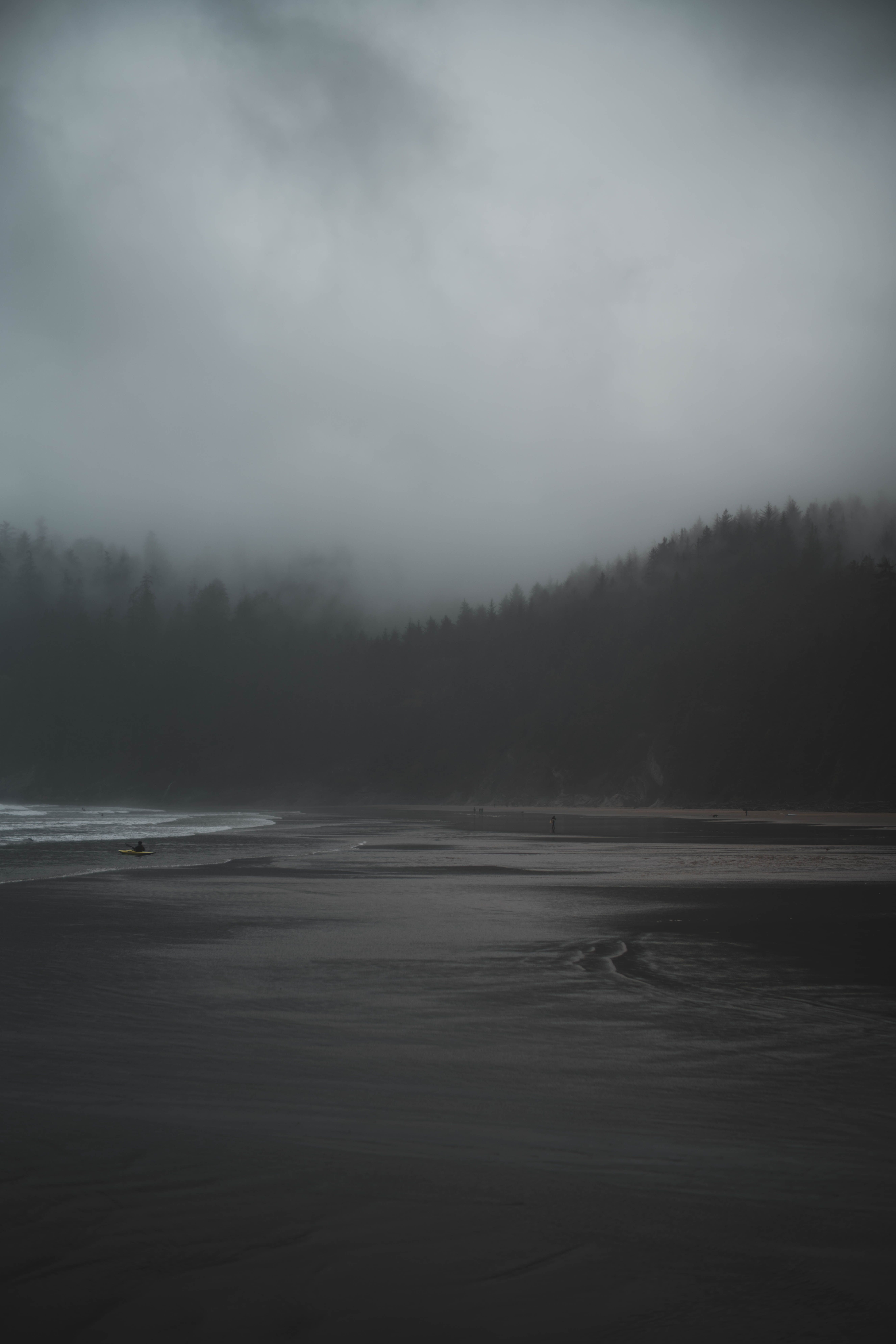 5304x7952 Download wallpaper 5304x7952 fog, river, trees, gloomy HD background