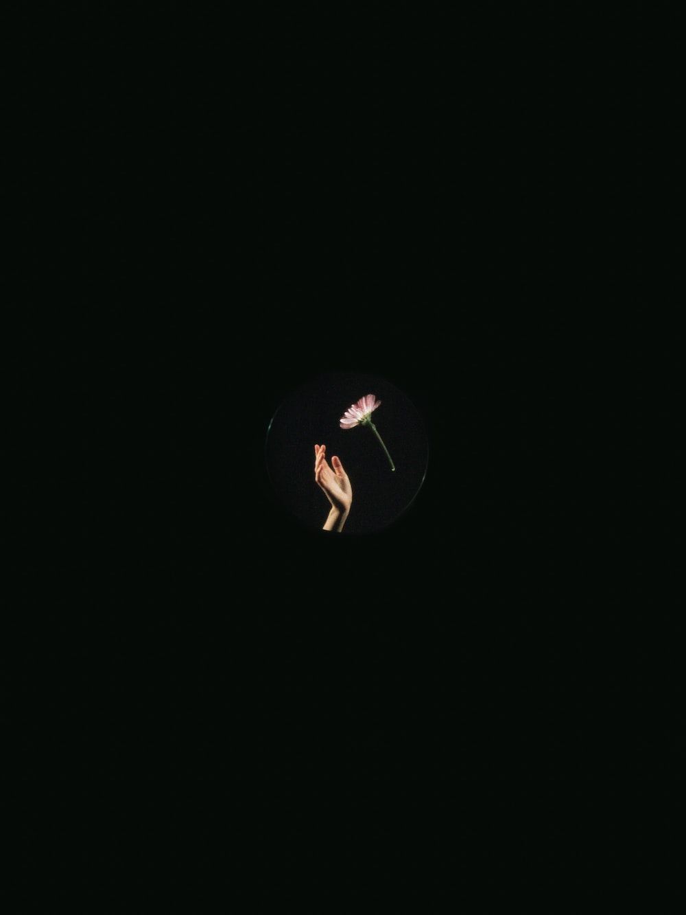 1000x1333 AMOLED Wallpaper [Free Download!]. best free wallpaper, black and white, black, and dark photo