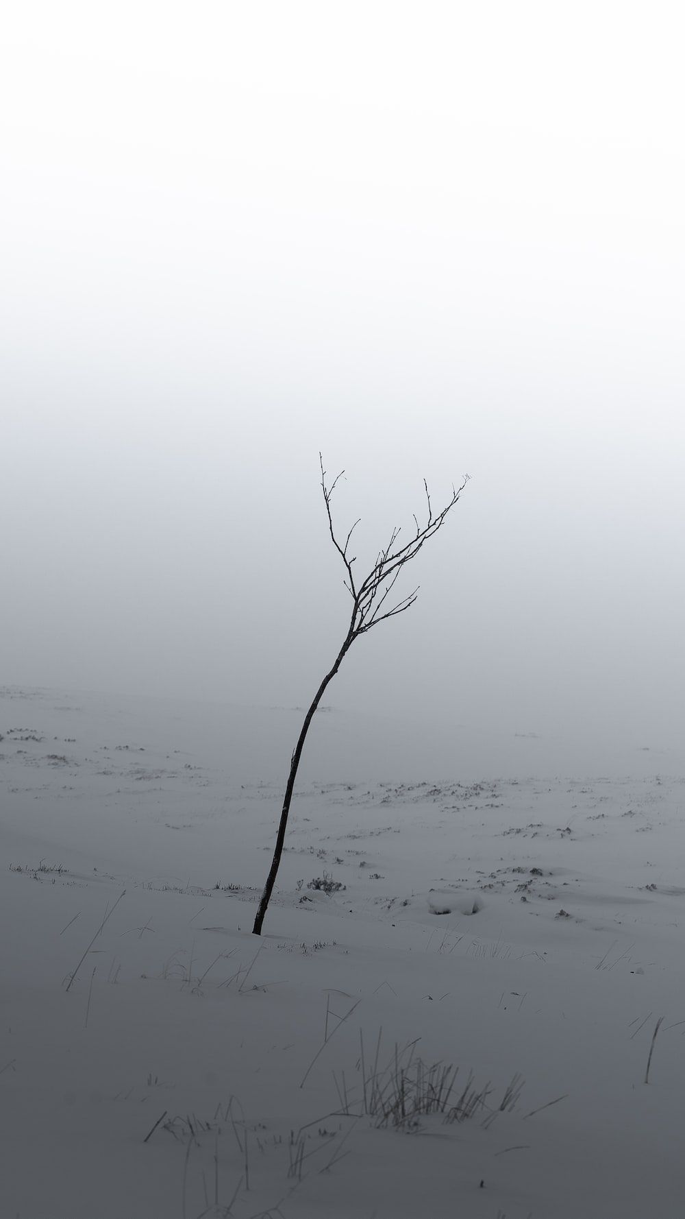 1000x1778 Deep Meaning Picture. Download Free Image