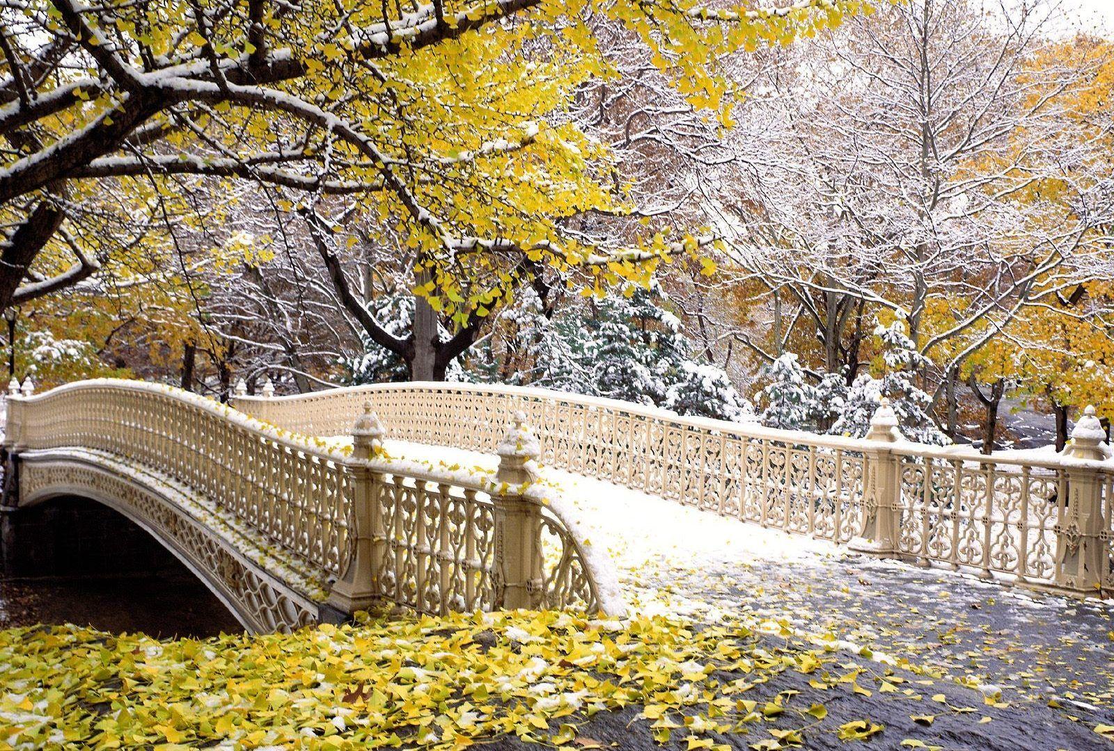 1600x1080 Free Desktop Wallpaper Winter Scenes