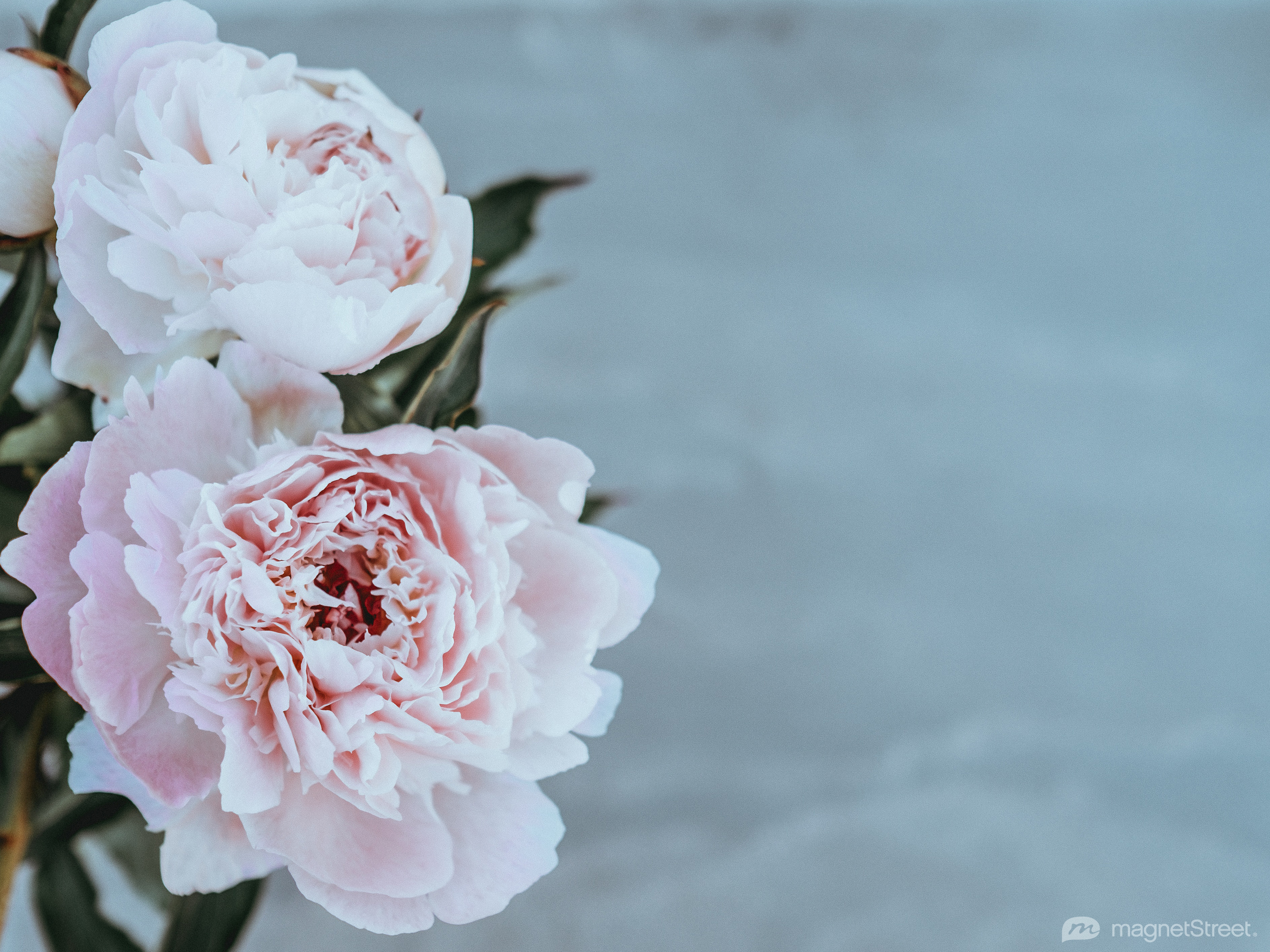 2732x2048 Wedding Wallpaper. Free Wedding Desktop Background from Truly Engaging