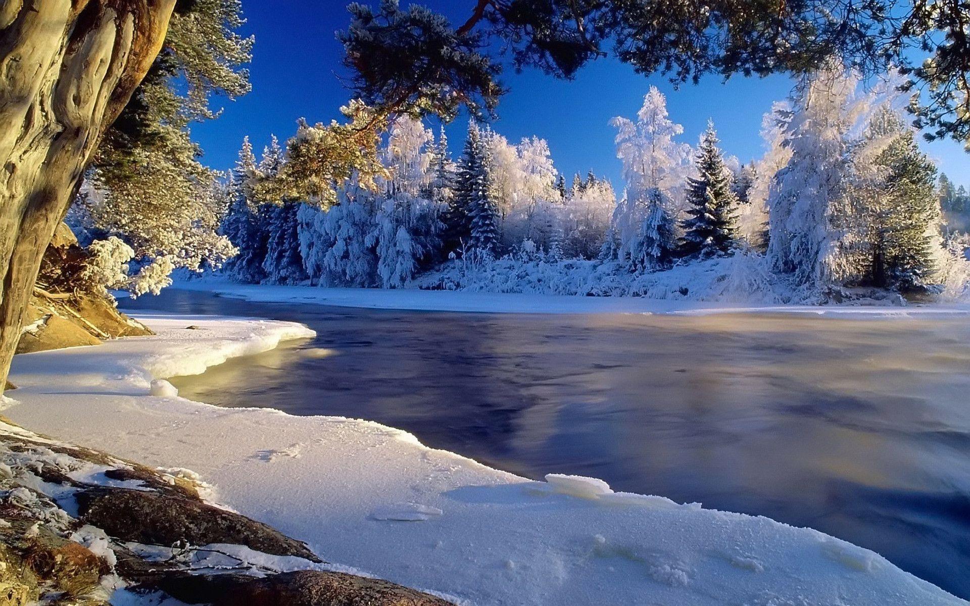 Bing Winter Wallpapers Top Free Bing Winter Backgrounds Wallpaperaccess