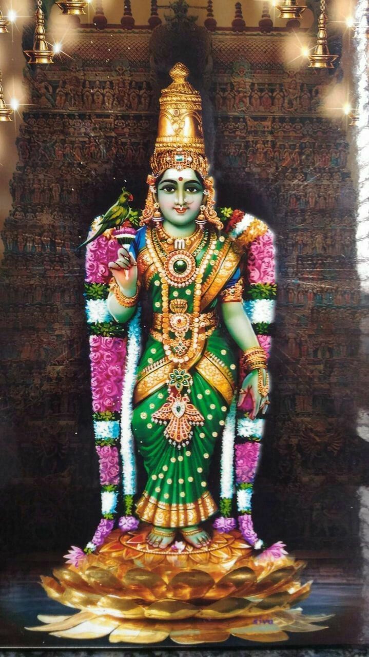 Meenakshi Wallpapers Top Free Meenakshi Backgrounds WallpaperAccess