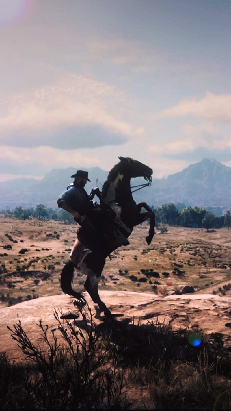 800x1422 Red Dead Redemption, arthur morgan, red dead, HD phone wallpaper