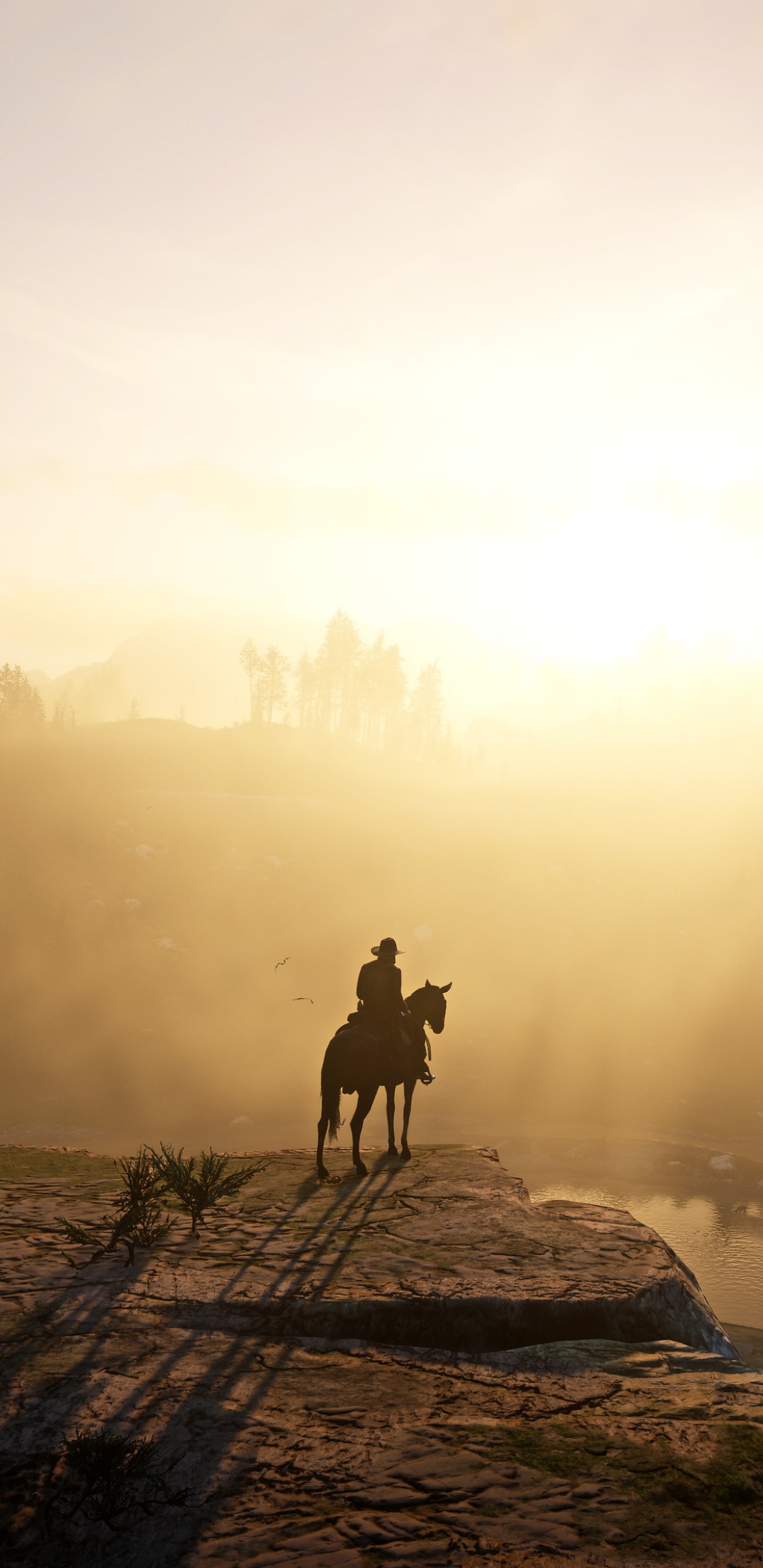 1080x2220 Wallpaper / Video Game Red Dead Redemption 2 Phone Wallpaper, , 1080x2220 free download