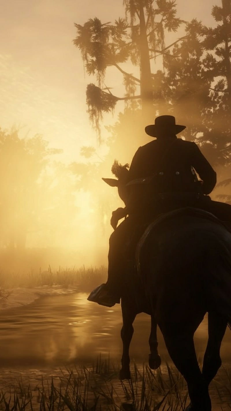 800x1422 Golden ride, cowboy, dawn, horse, outlaw, rdr red dead redemption, red dead redemption HD phone wallpaper