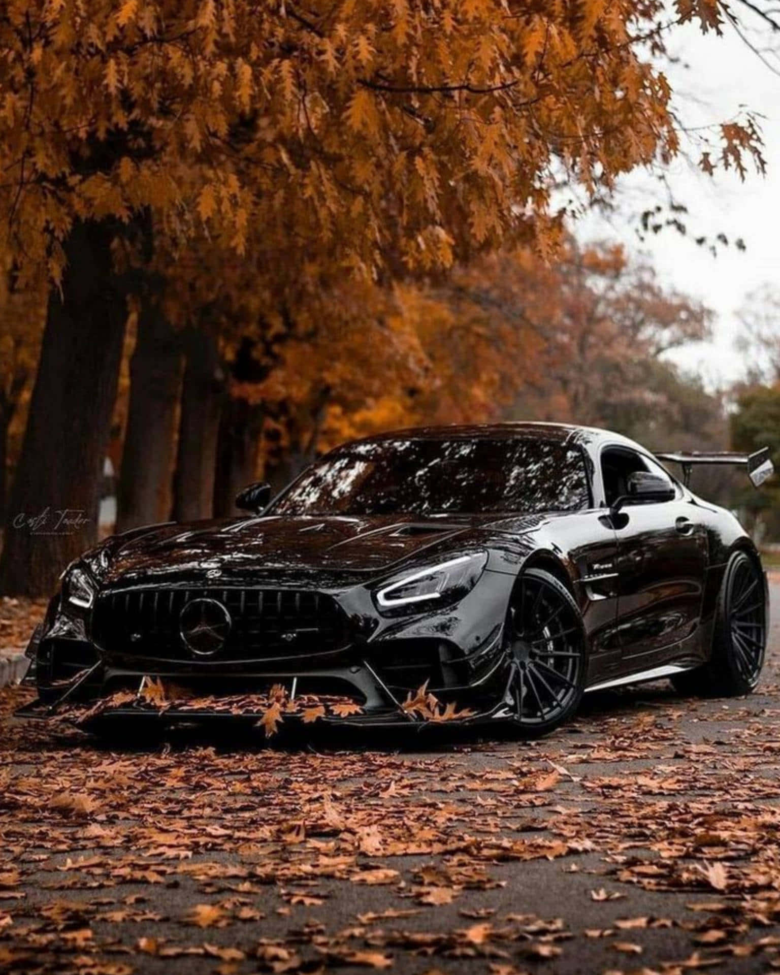 1536x1920 Download Best Amg Gt R Autumn Background
