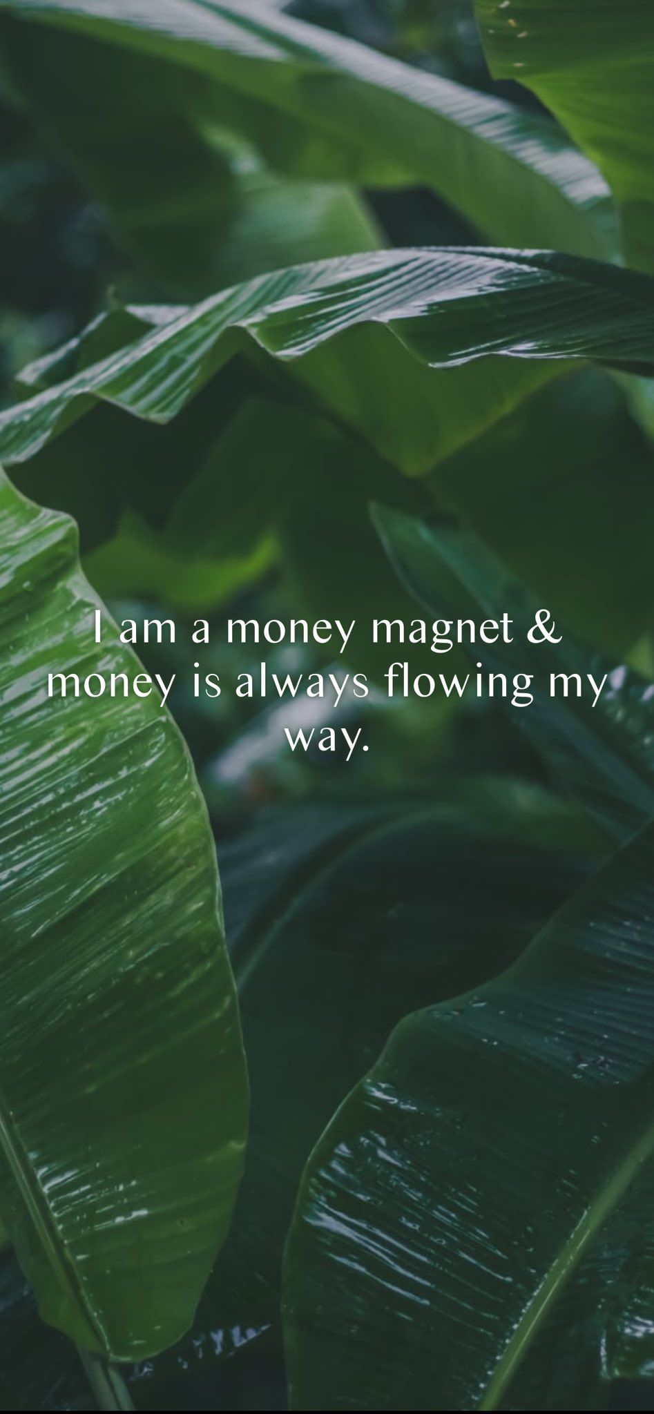 Money Magnet Wallpapers - Top Free Money Magnet Backgrounds ...