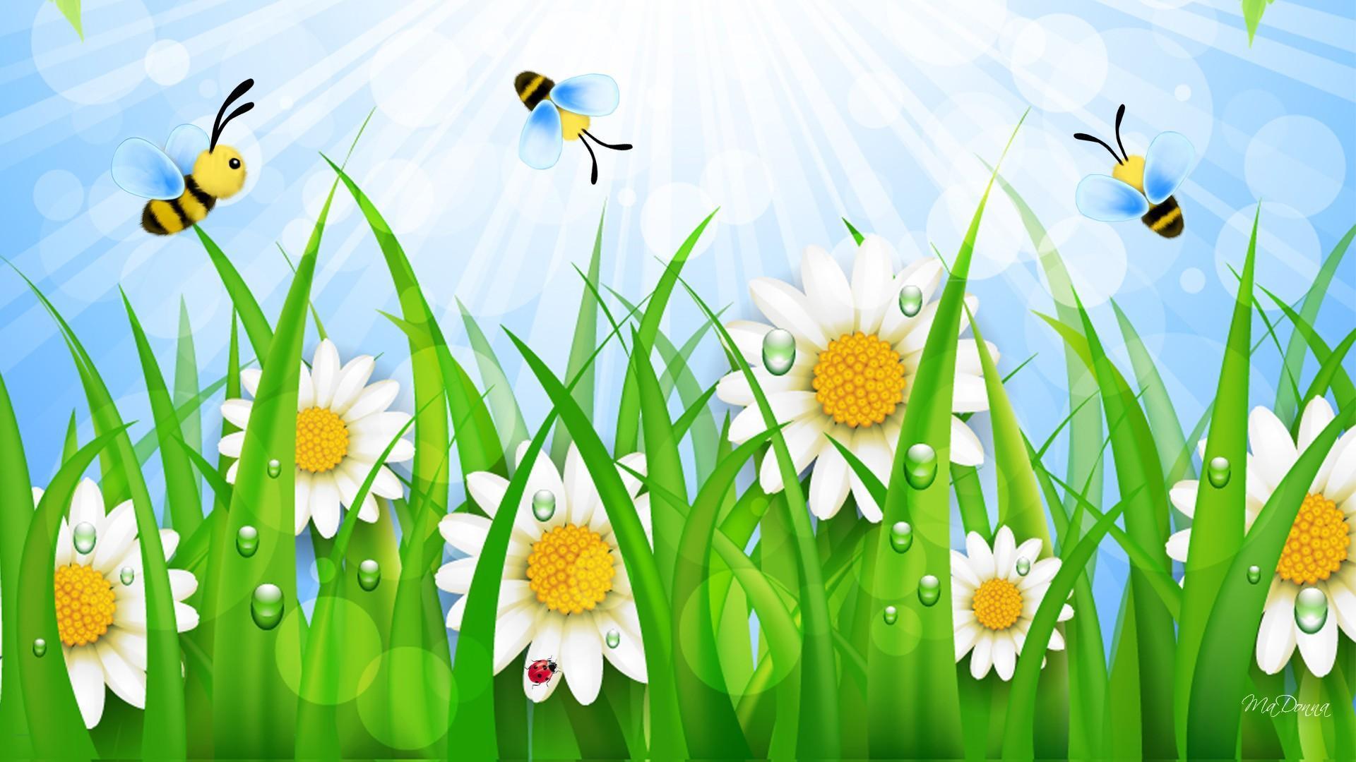 1920x1080 Cute Bee Wallpaper