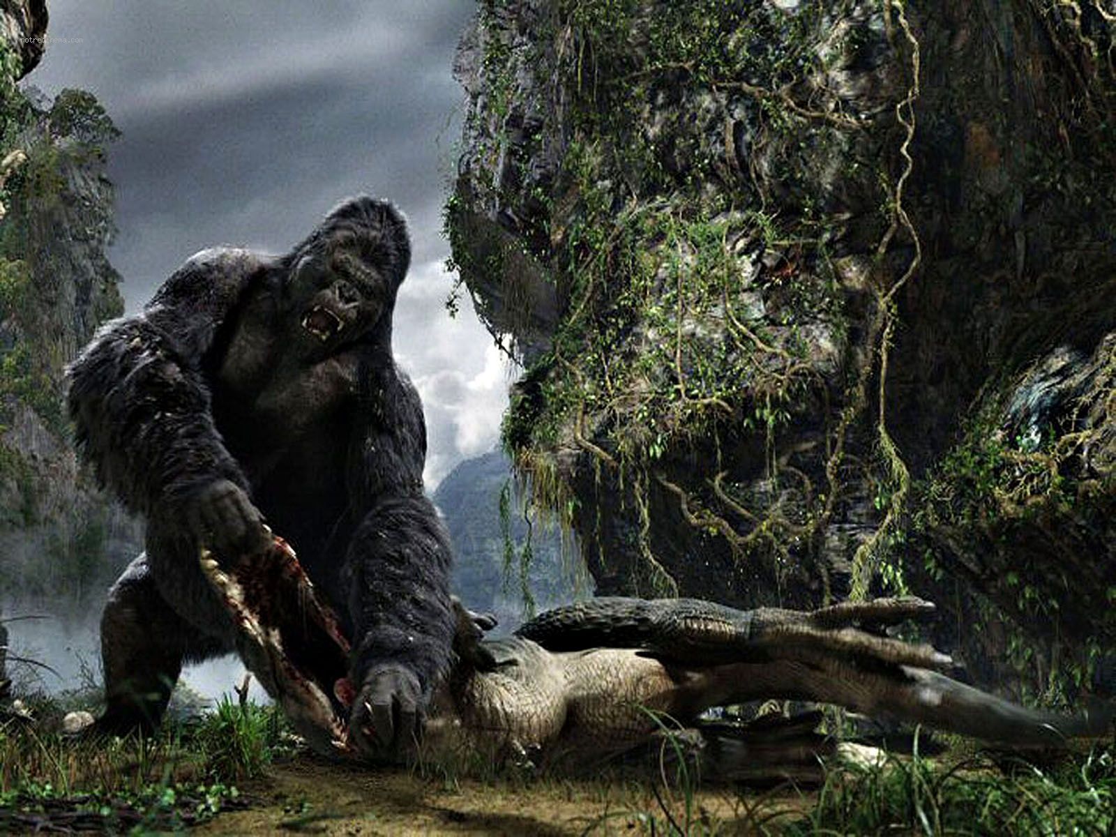 1600x1200 King Kong Wallpaper