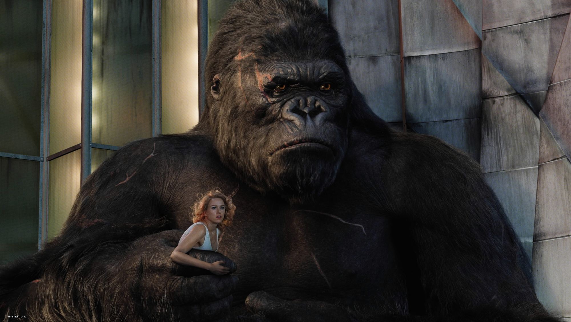 2000x1130 King Kong (2005) HD Wallpaper and Background