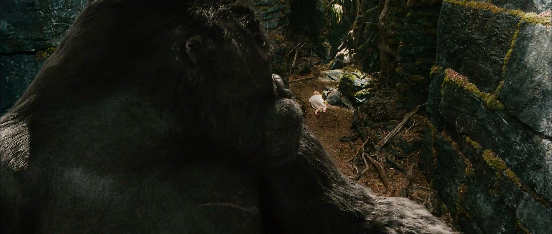 1920x816 1920x816 king kong 2005 wallpaper for desktop.me!