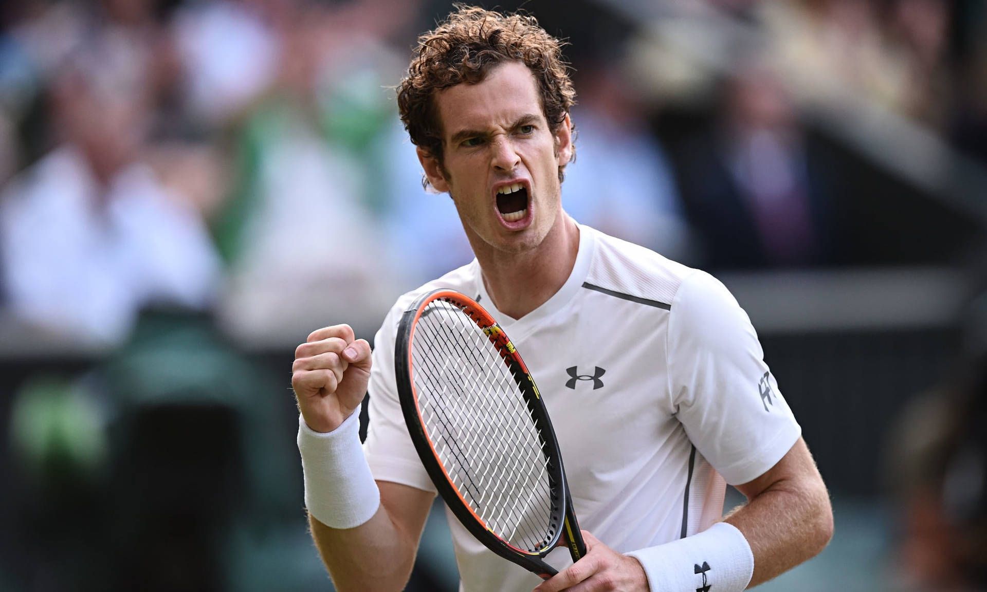 1920x1152 Andy Murray Wallpaper
