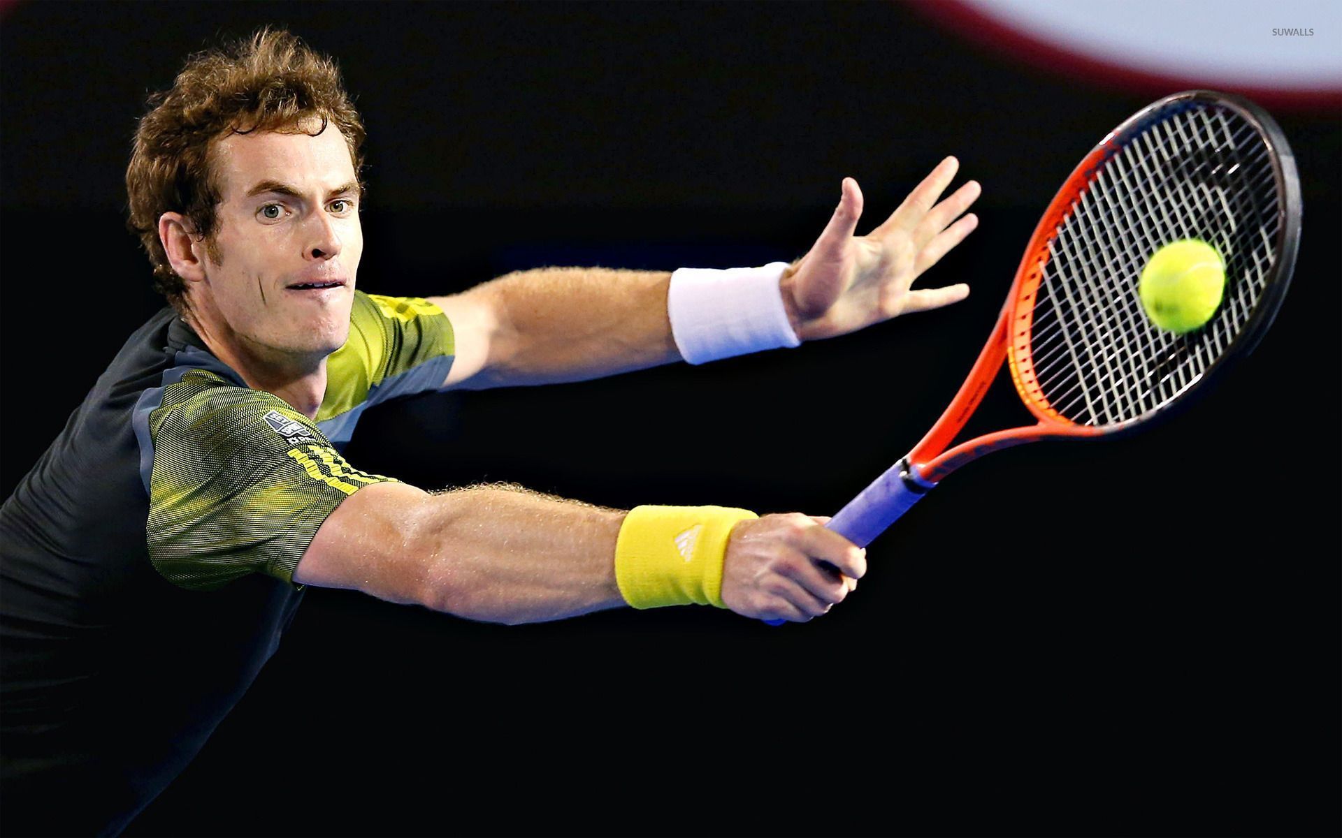 1920x1200 Andy Murray [4] wallpaper wallpaper