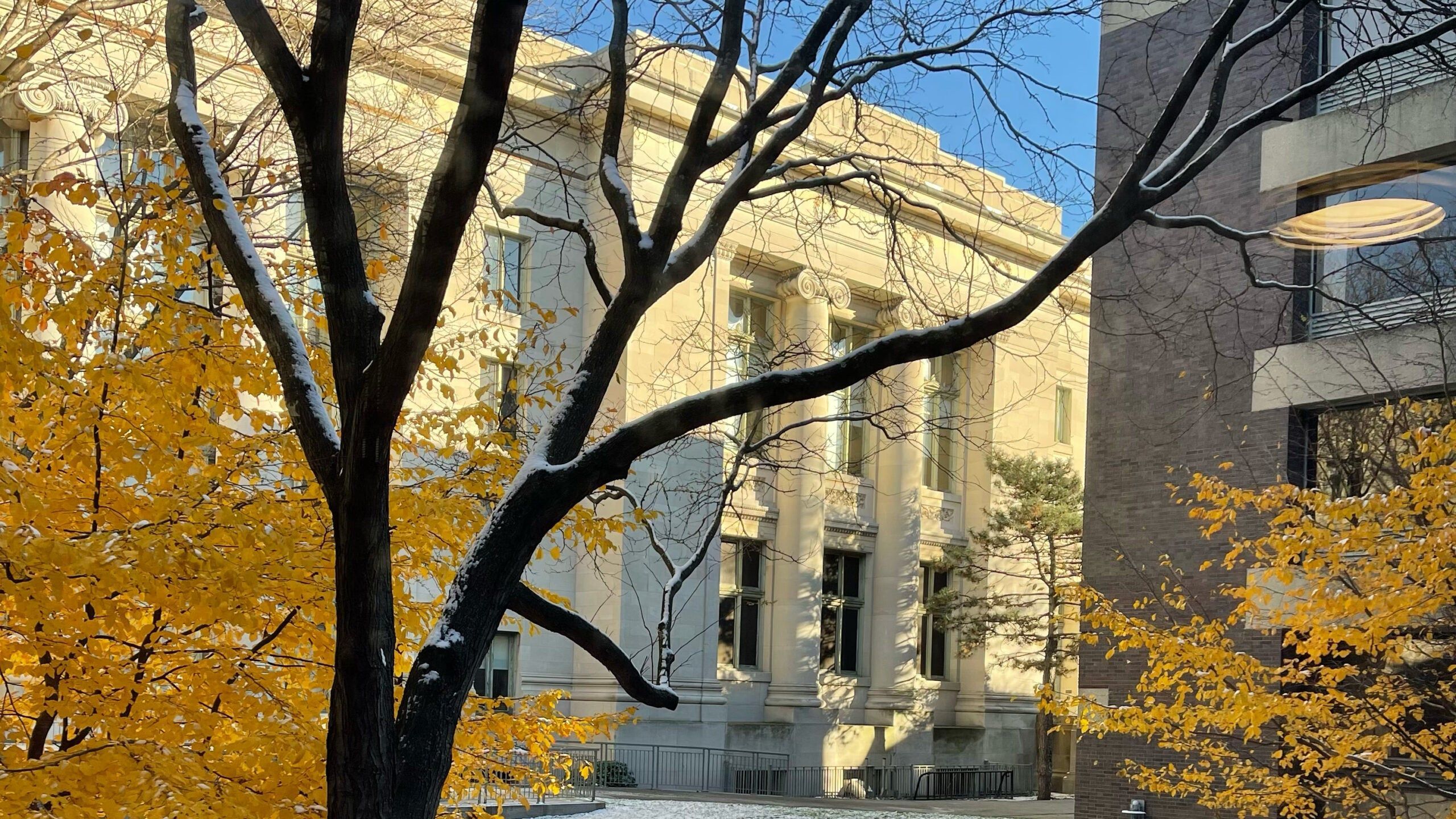 Harvard Law School Campus