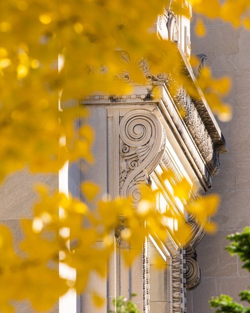 800x1000 Apply to Harvard Law School Law School. Harvard Law School
