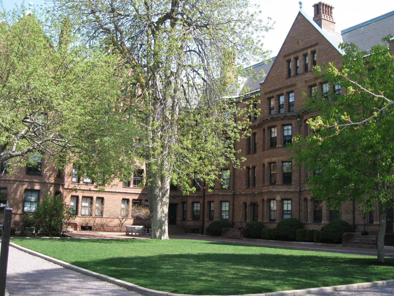 Harvard Law School Wallpapers Top Free Harvard Law School Backgrounds black-harvard-students-hold-their-own-commencement-ceremony-edify