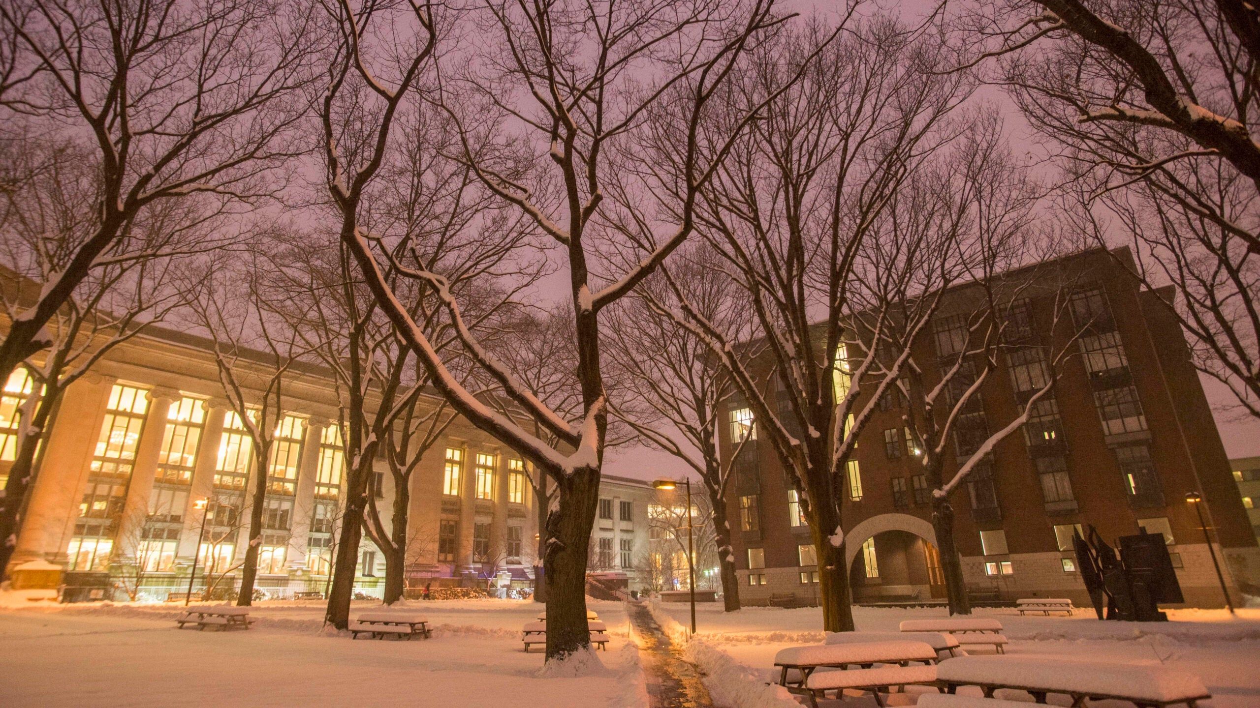 2560x1440 Zoom Background Image Law School. Harvard Law School