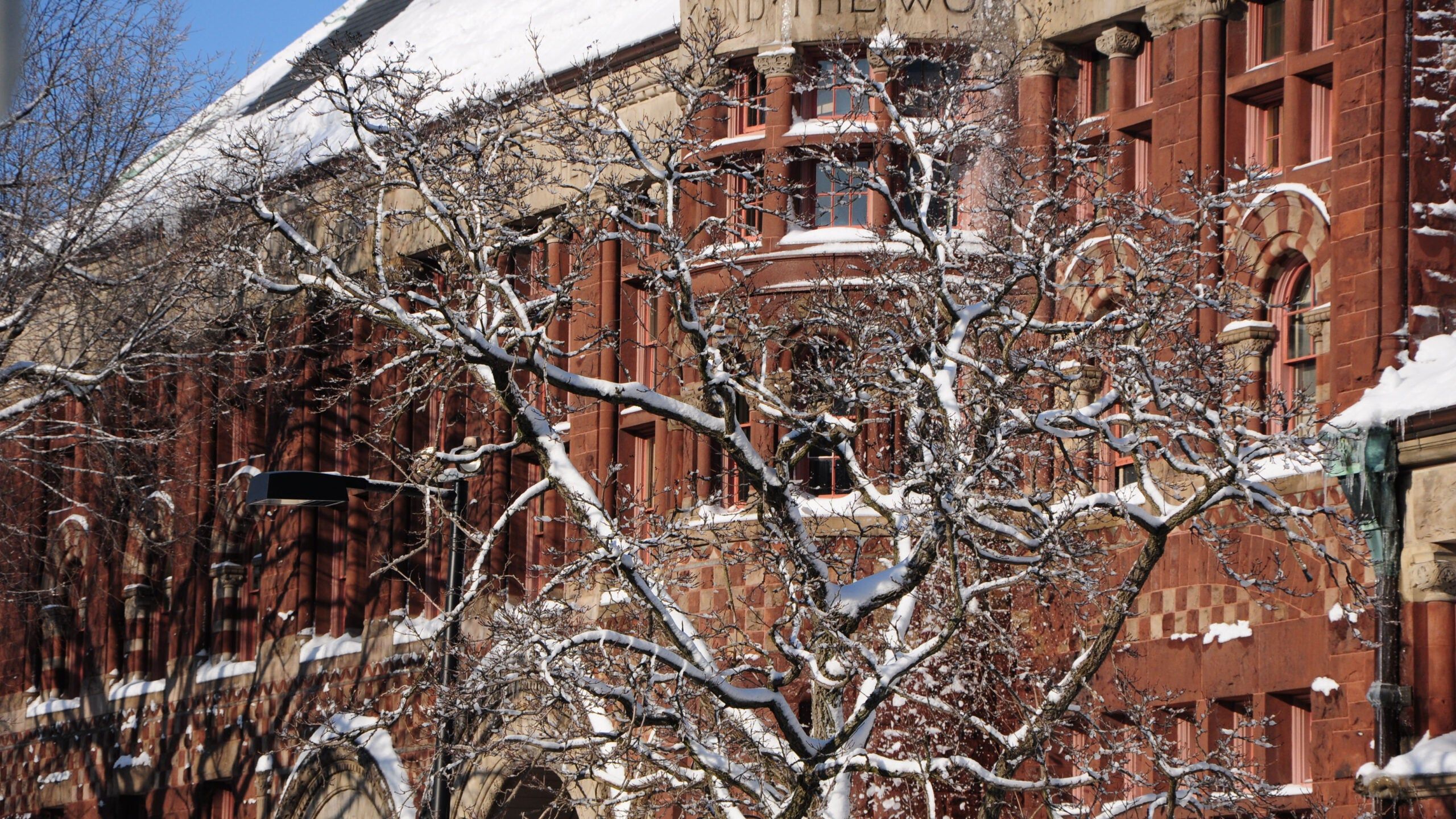 2560x1440 Zoom Background Image Law School. Harvard Law School