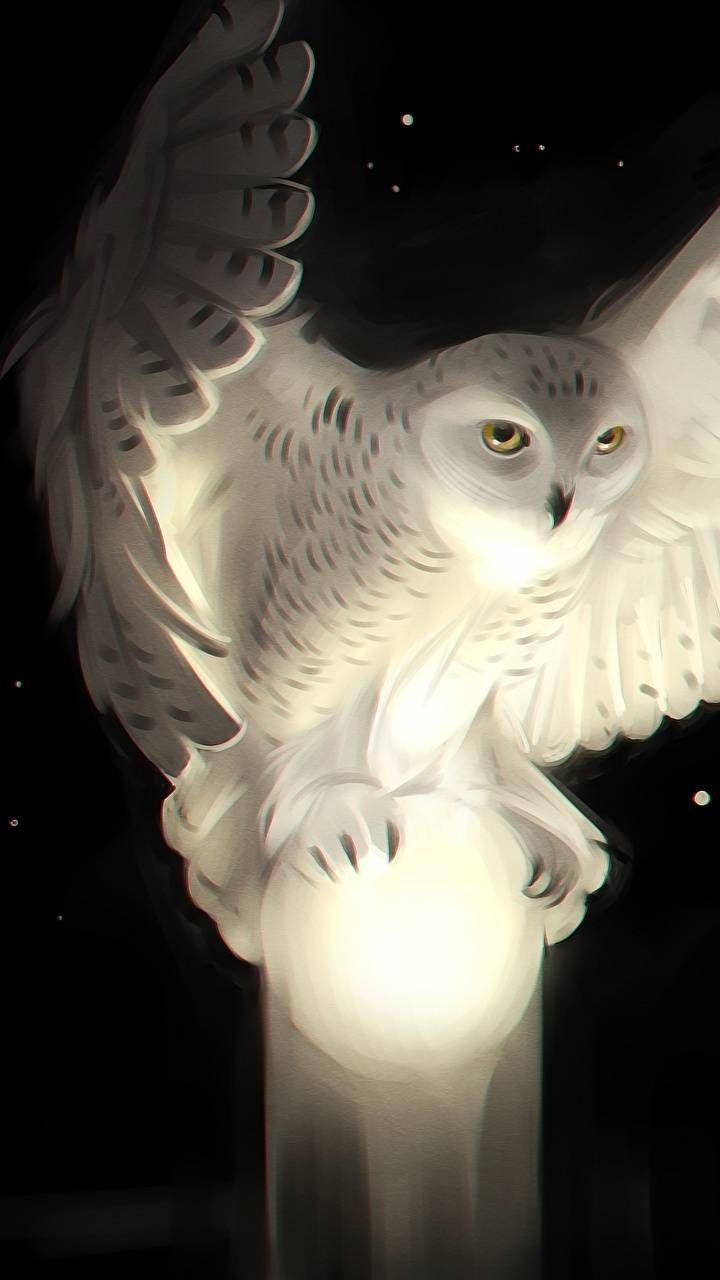 720x1280 Owl wallpaper, Owl artwork, Owl