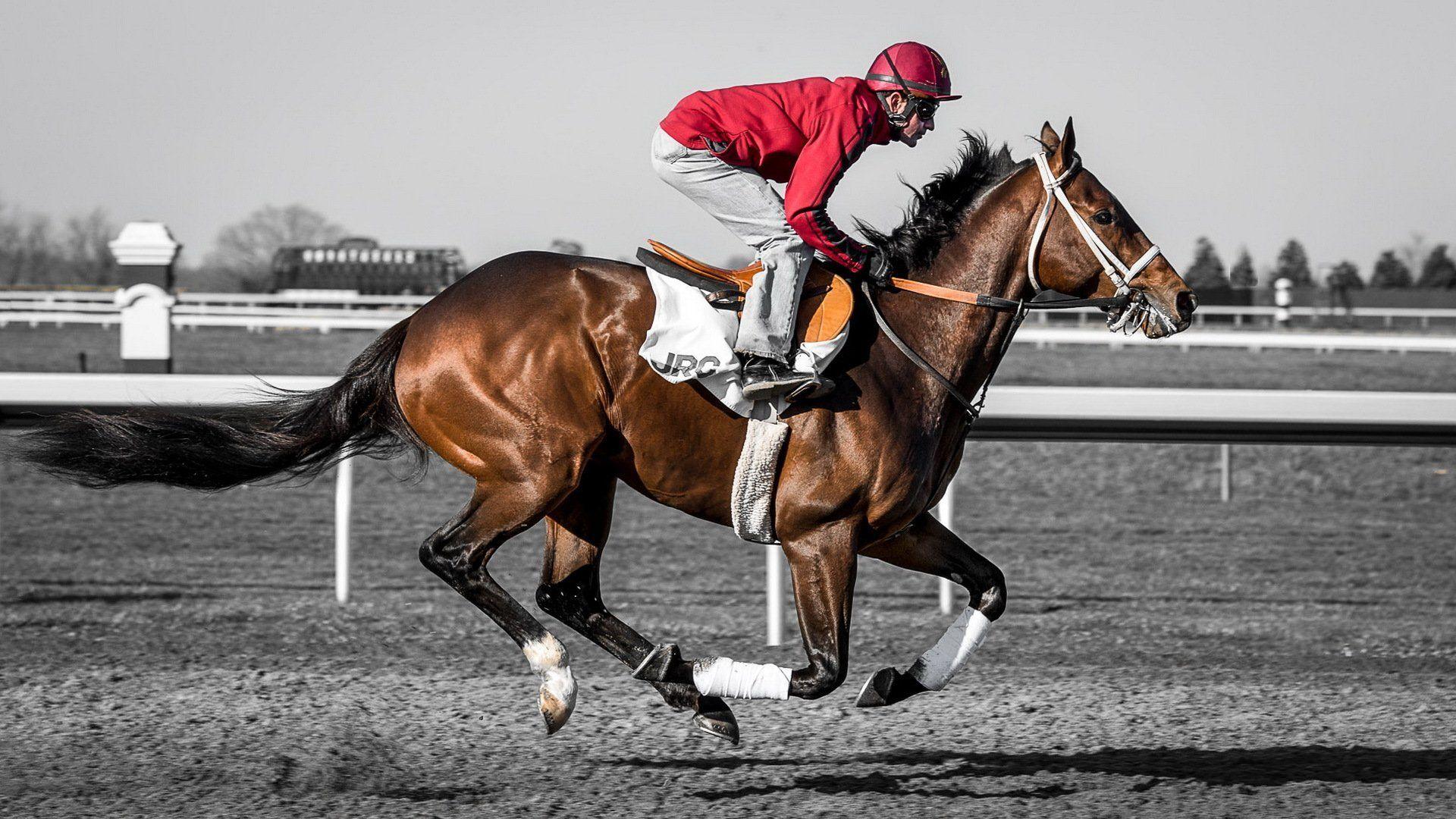 1920x1080 Jockey Wallpaper