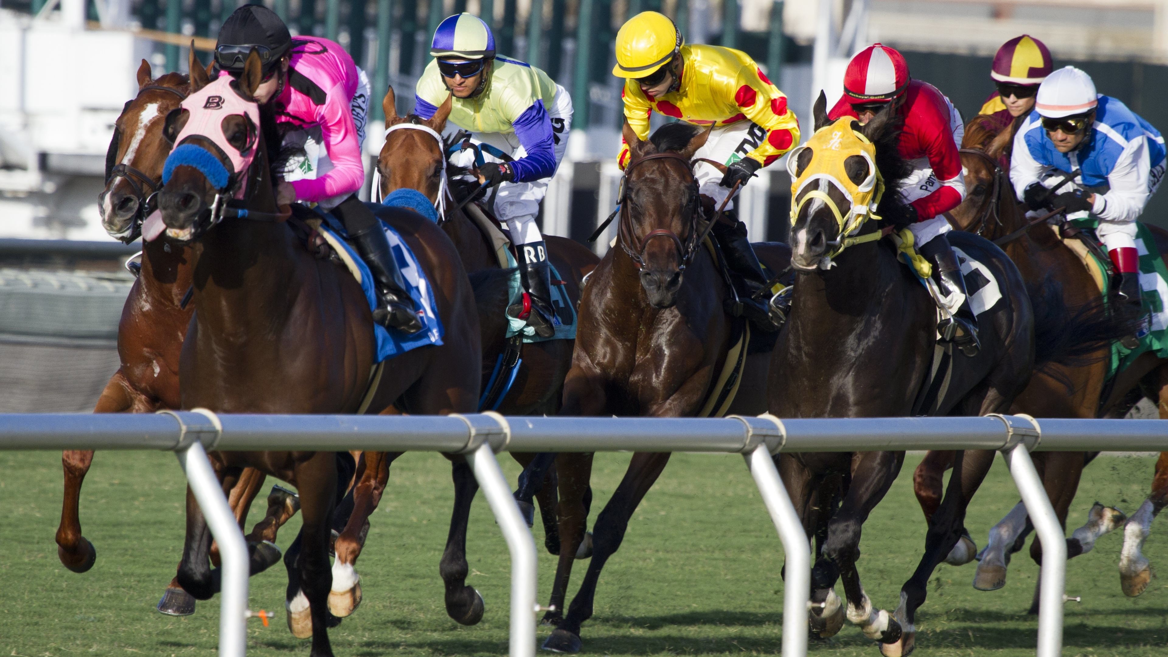 Jockey Wallpapers - Top Free Jockey Backgrounds - WallpaperAccess