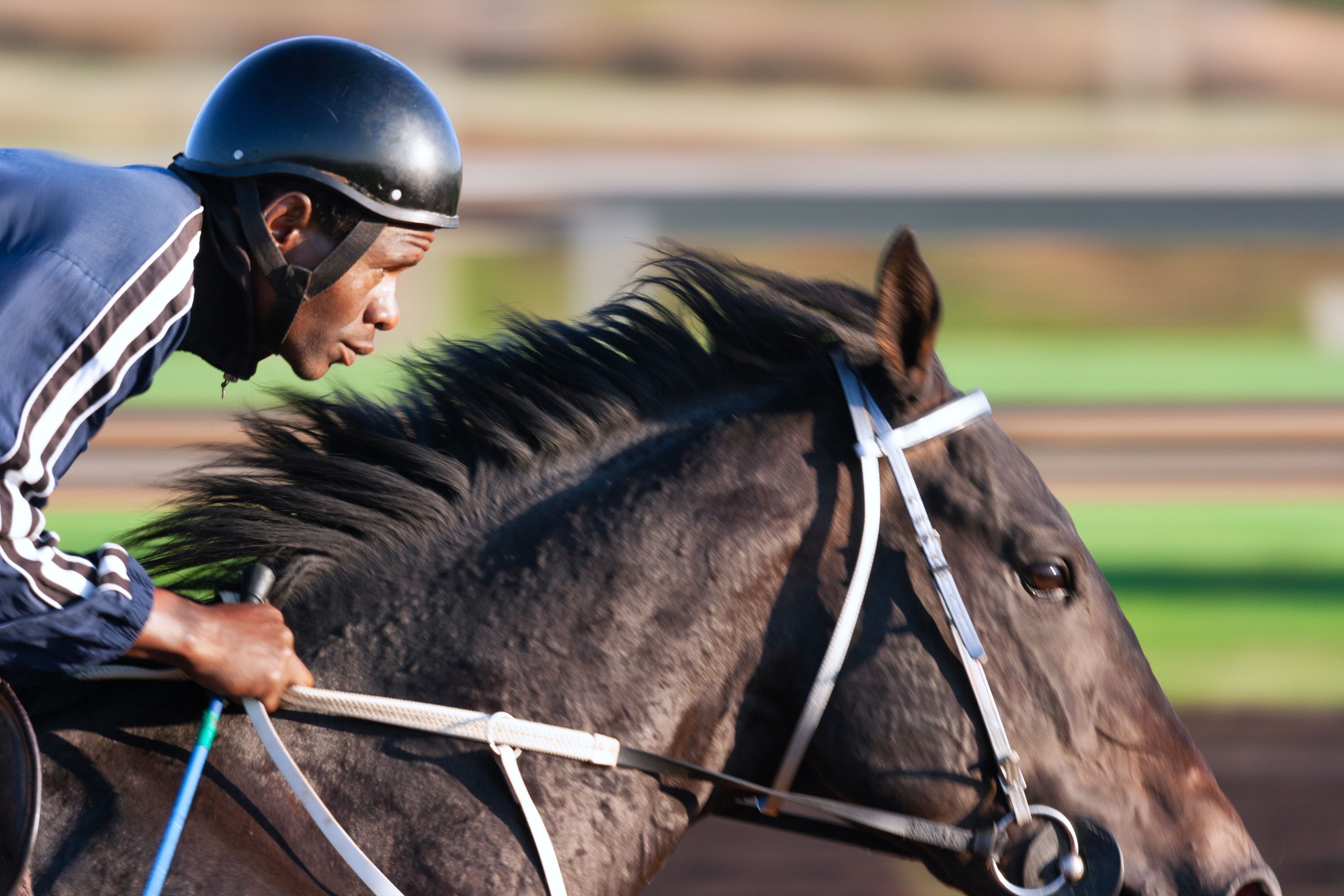 3888x2592 Jockey Photo, Download The BEST Free Jockey & HD Image