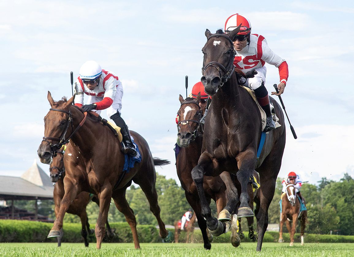 Jockey Wallpapers - Top Free Jockey Backgrounds - WallpaperAccess