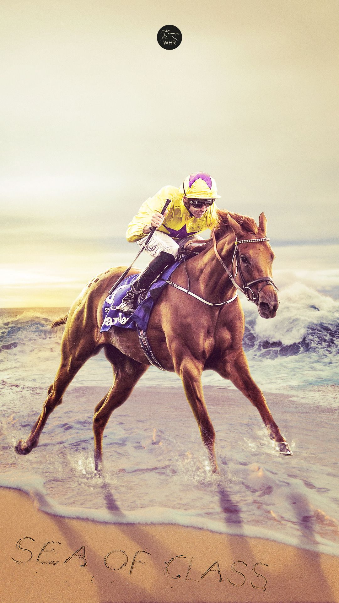 Jockey Wallpapers - Top Free Jockey Backgrounds - WallpaperAccess