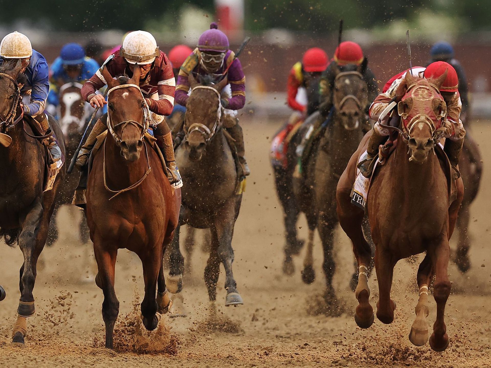 1920x1440 Horse racing's new safety rules go into effect
