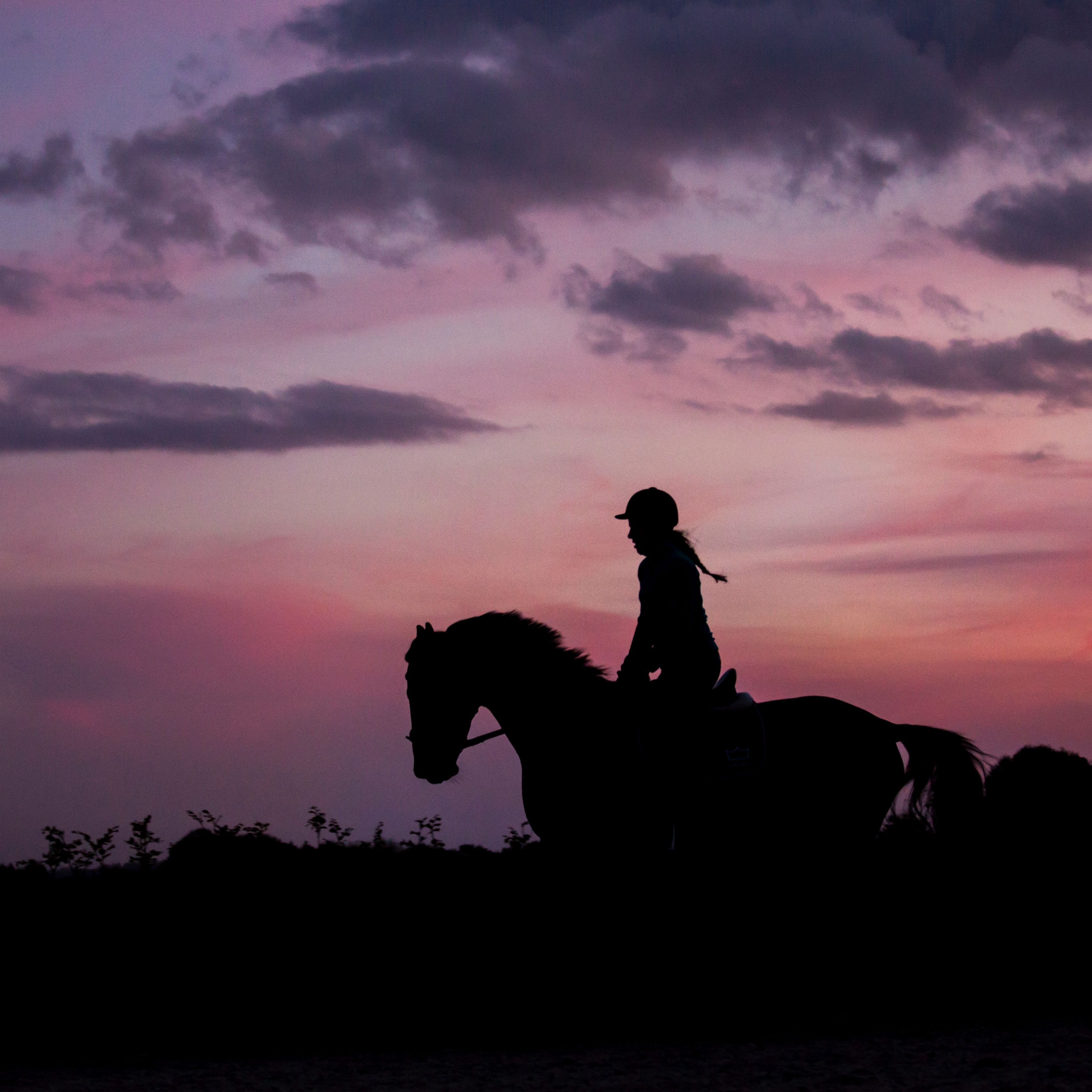 3415x3415 Download wallpaper 3415x3415 silhouette, dark, jockey, horse, twilight, equestrian, riding ipad pro 12.9 retina for parallax HD background