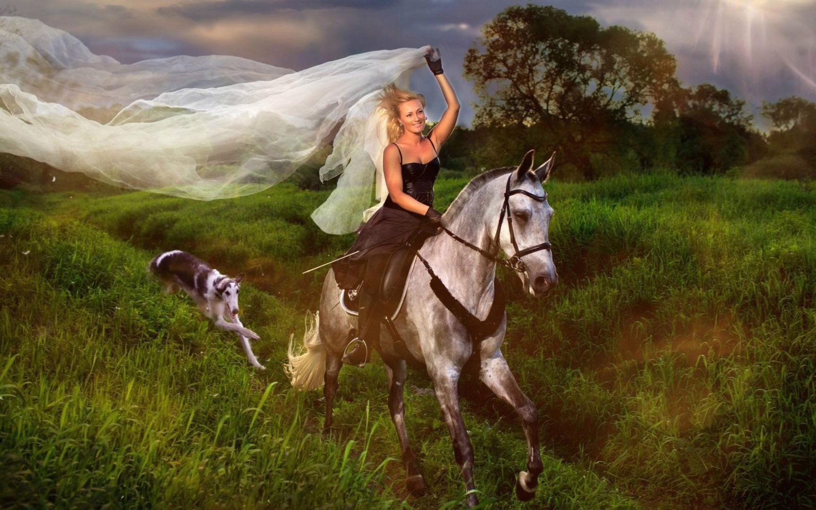 1680x1050 Blue Girl Jockey And White Horse Hair Veil Field With Green Grass, Road Dog Lesi HD Wallpaper :