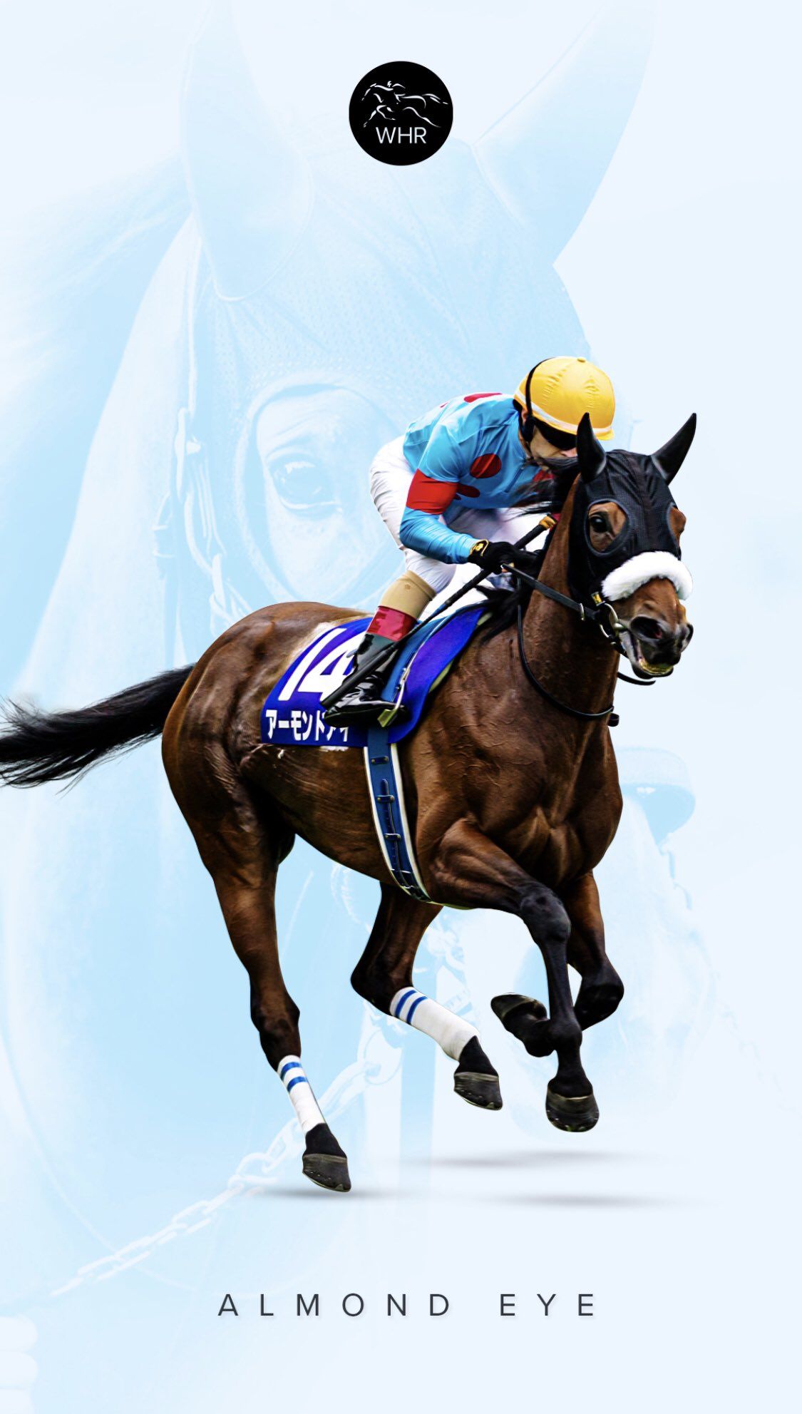 Jockey Wallpapers - Top Free Jockey Backgrounds - WallpaperAccess