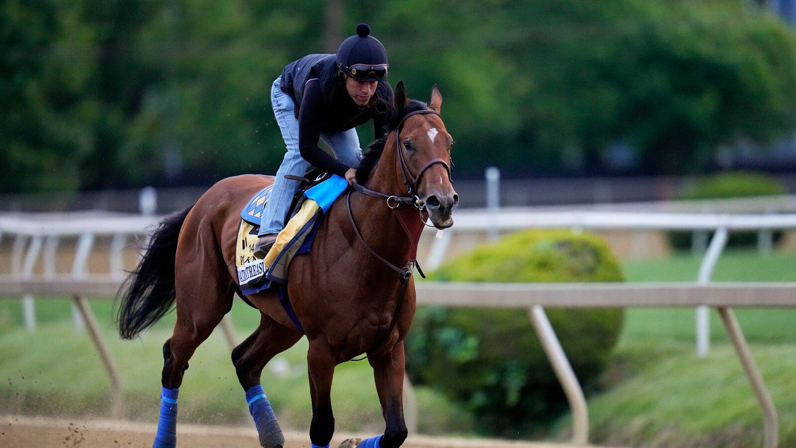 1600x900 Expert Picks: Who Will Win the 2023 Preakness Stakes?