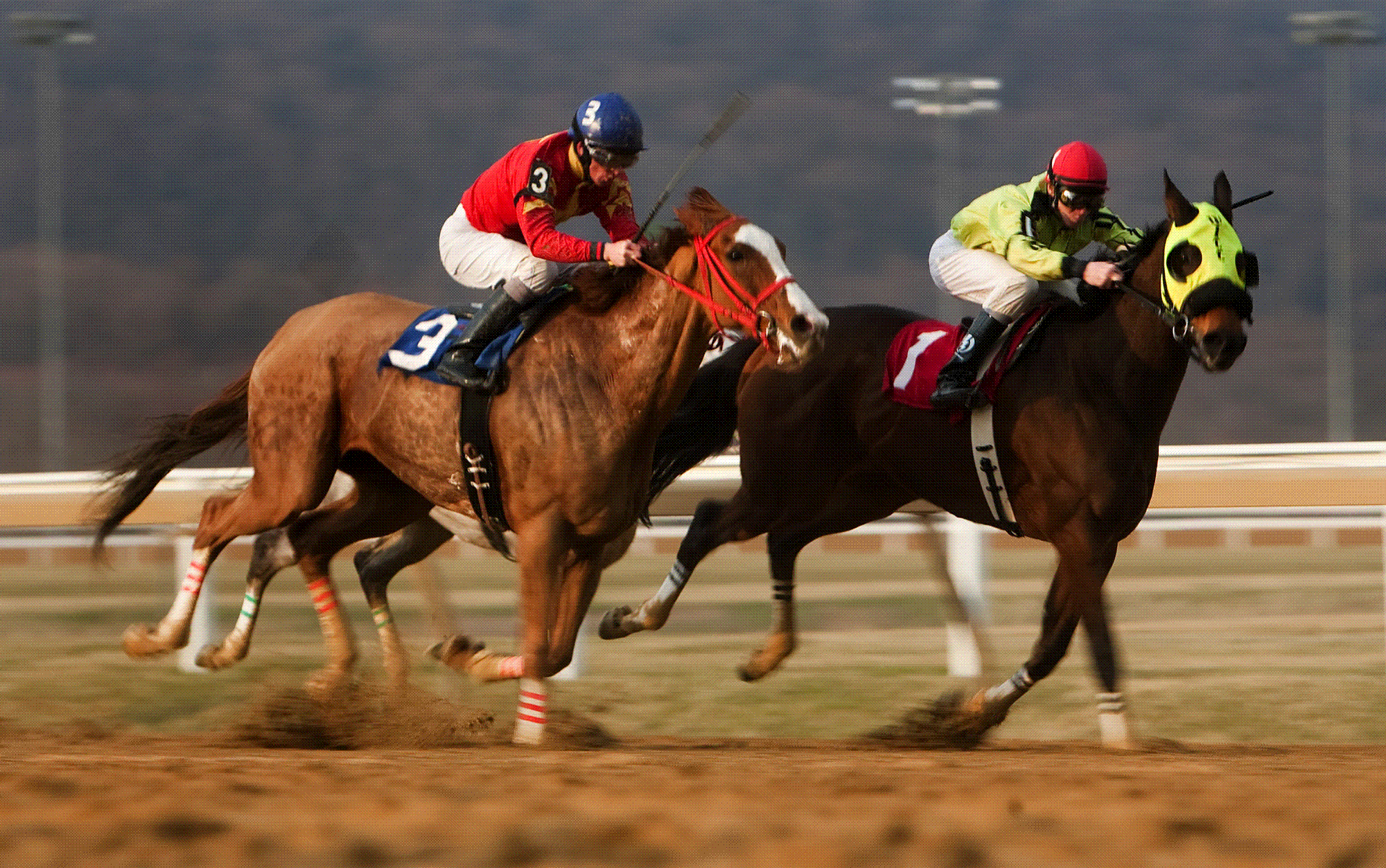 2000x1253 Clinton Potts' career as a jockey has taken him around the world