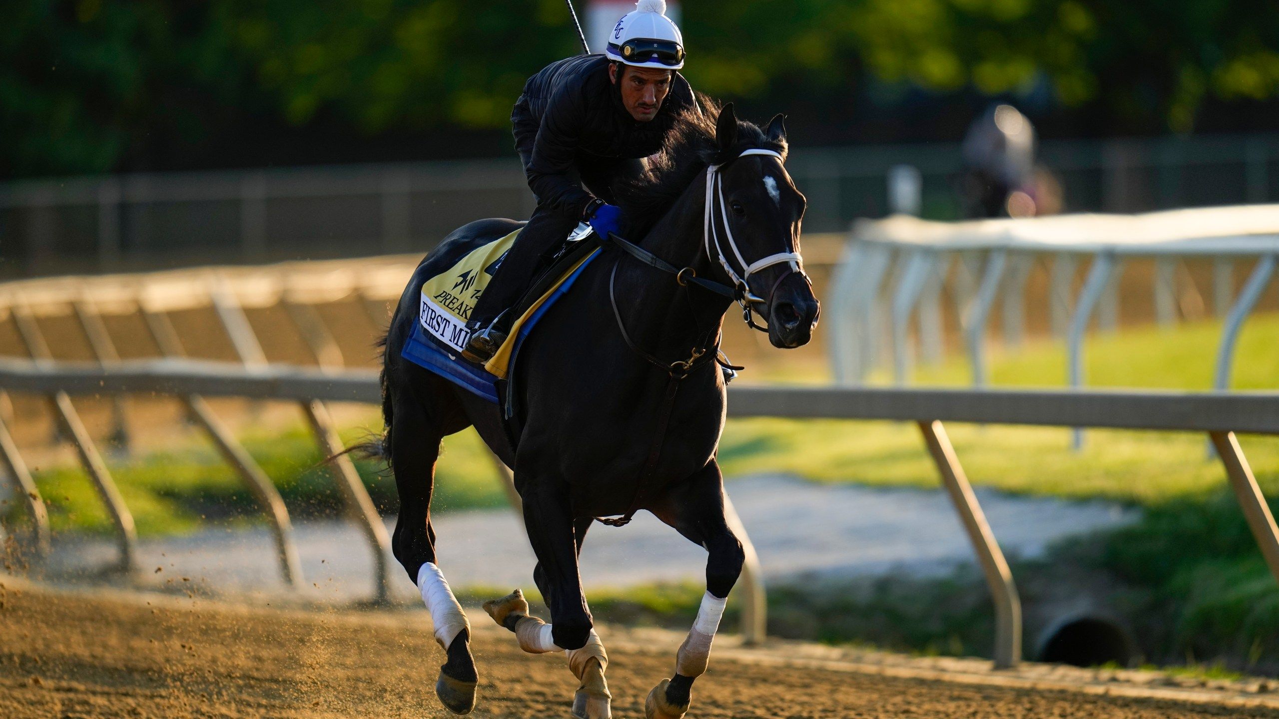 2560x1440 First Mission scratched from Preakness by vet 36 hours before Triple Crown race. WGN Radio 720's Very Own