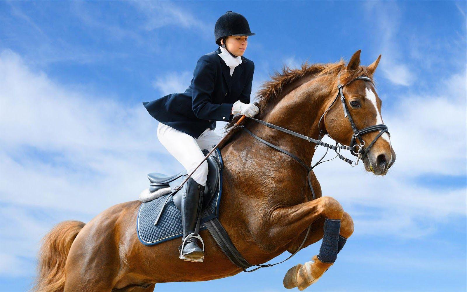 1600x1000 Jockey Wallpaper
