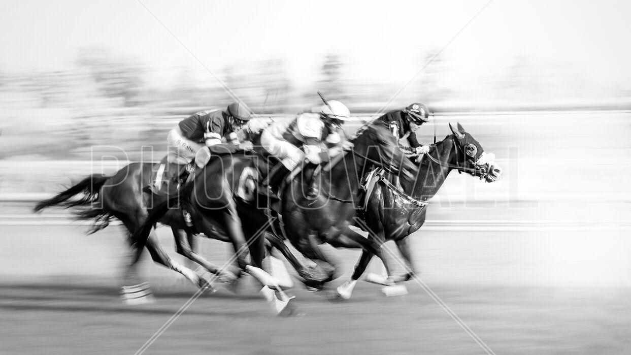 1243x699 Horse Racing at Queen's Plate