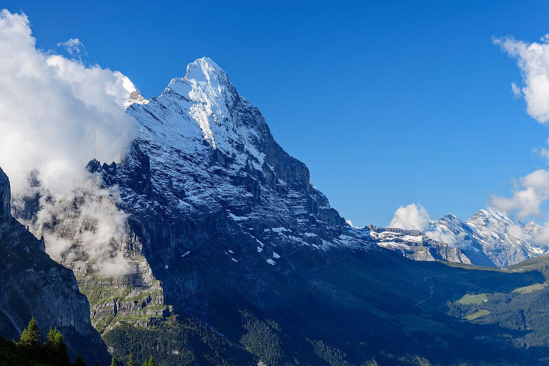 1100x733 View of Eiger and Kleine Scheidegg, from