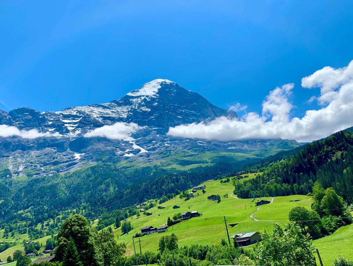 1195x900 AMAZING APARTMENT EIGER GRINDELWALD (Switzerland) US$ 221