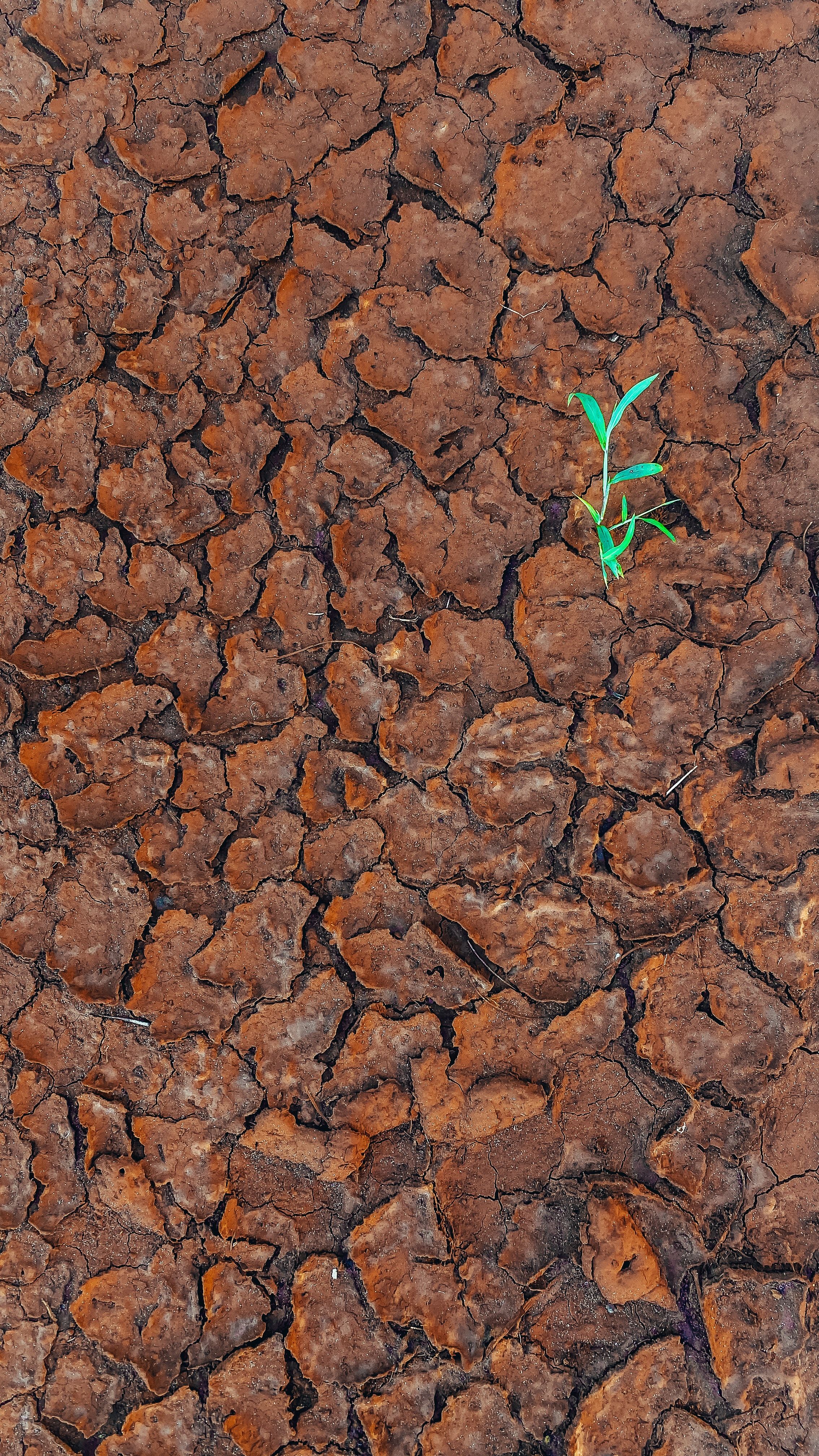 2268x4032 Soil Pollution Photo, Download The BEST Free Soil Pollution & HD Image