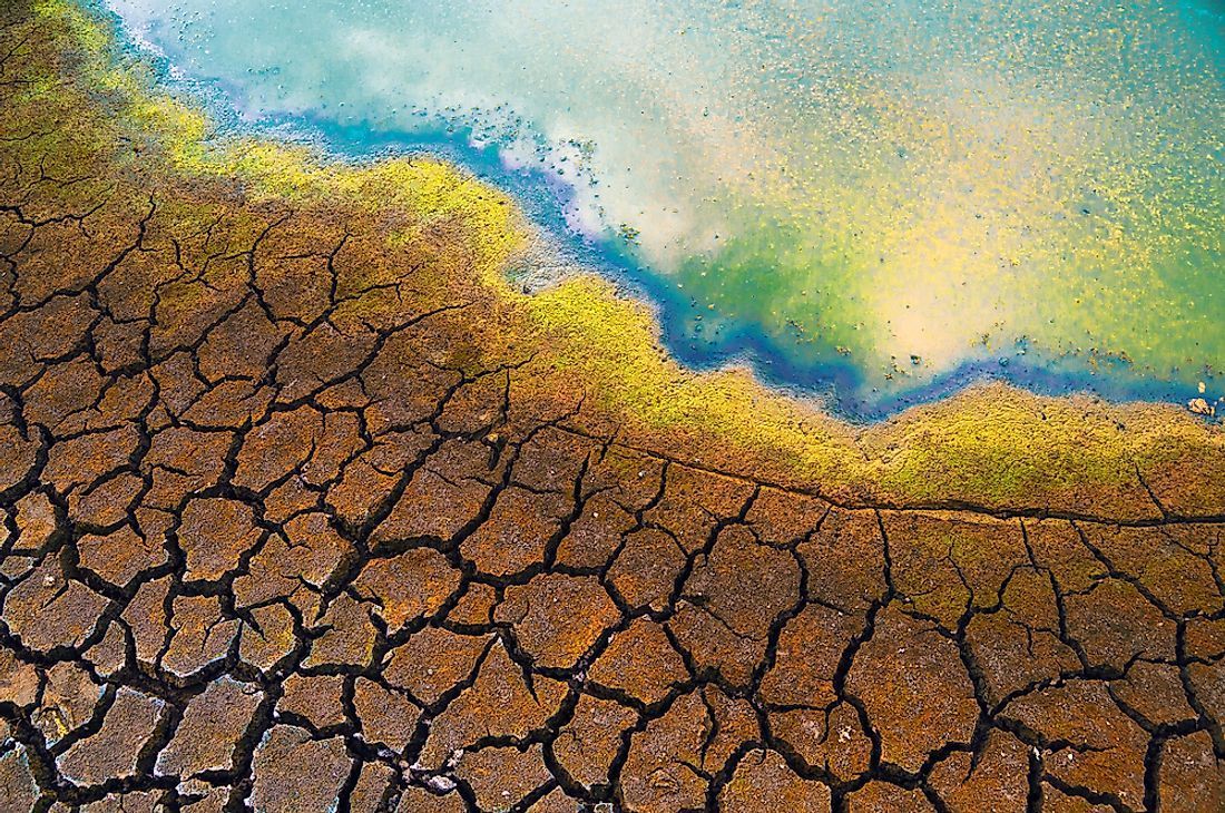 1100x730 What Are The Harmful Effects Of Soil Pollution?