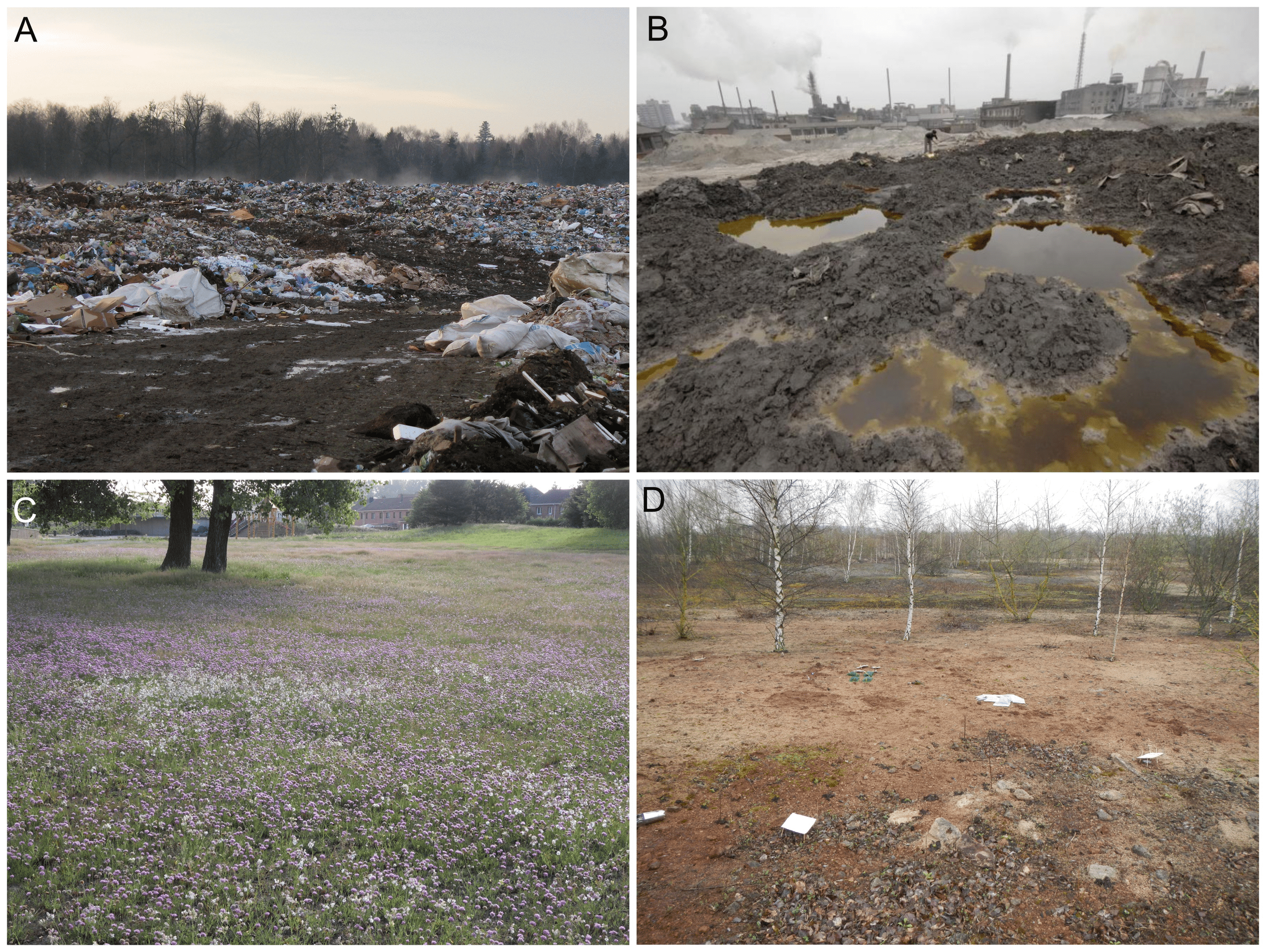 2500x1880 What do we know and don't know about soil fauna communities' response to soil pollution?