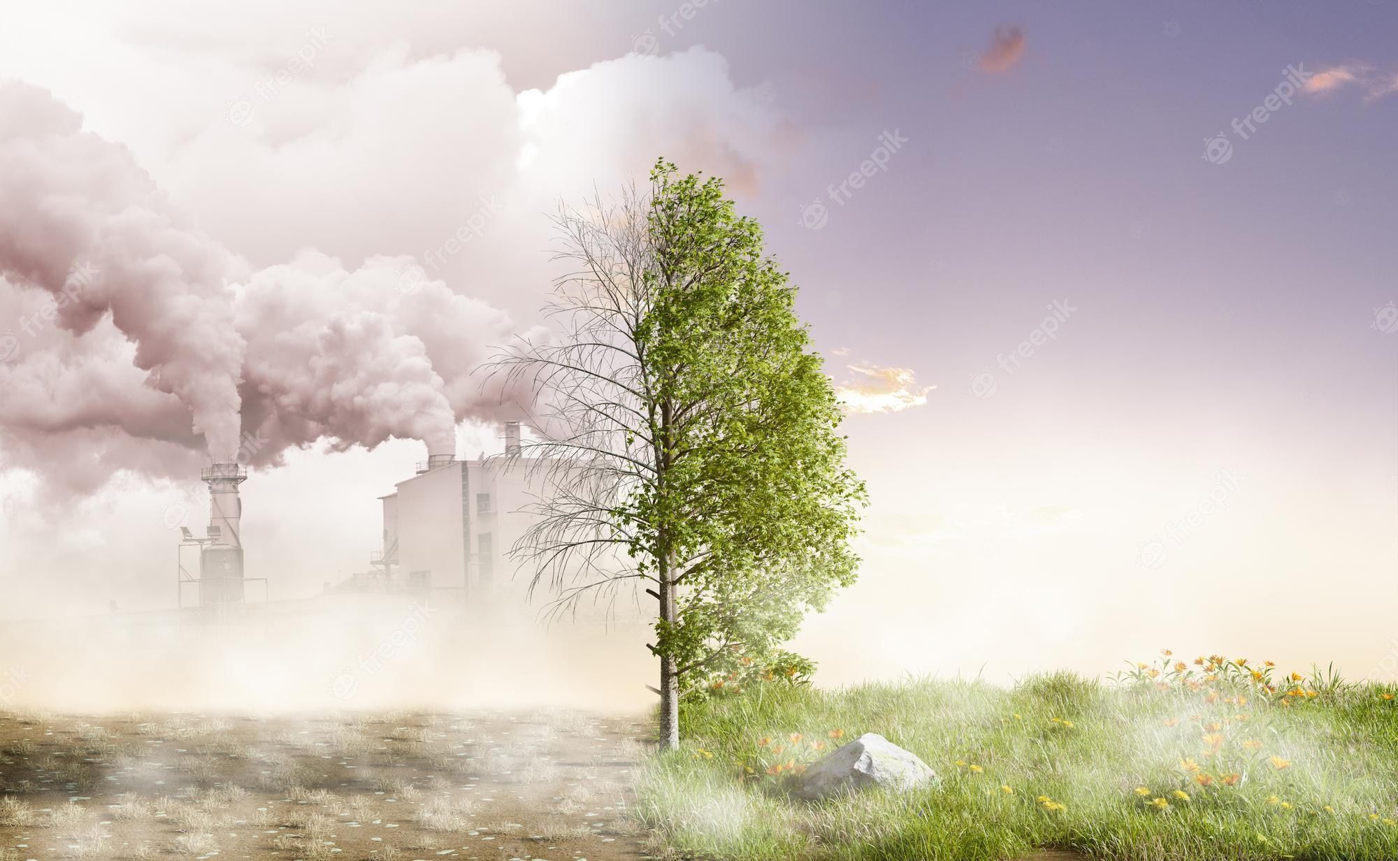 Soil Pollution Wallpapers Top Free Soil Pollution Backgrounds soil-pollution-causes-effects-and-prevention-earth-57-off