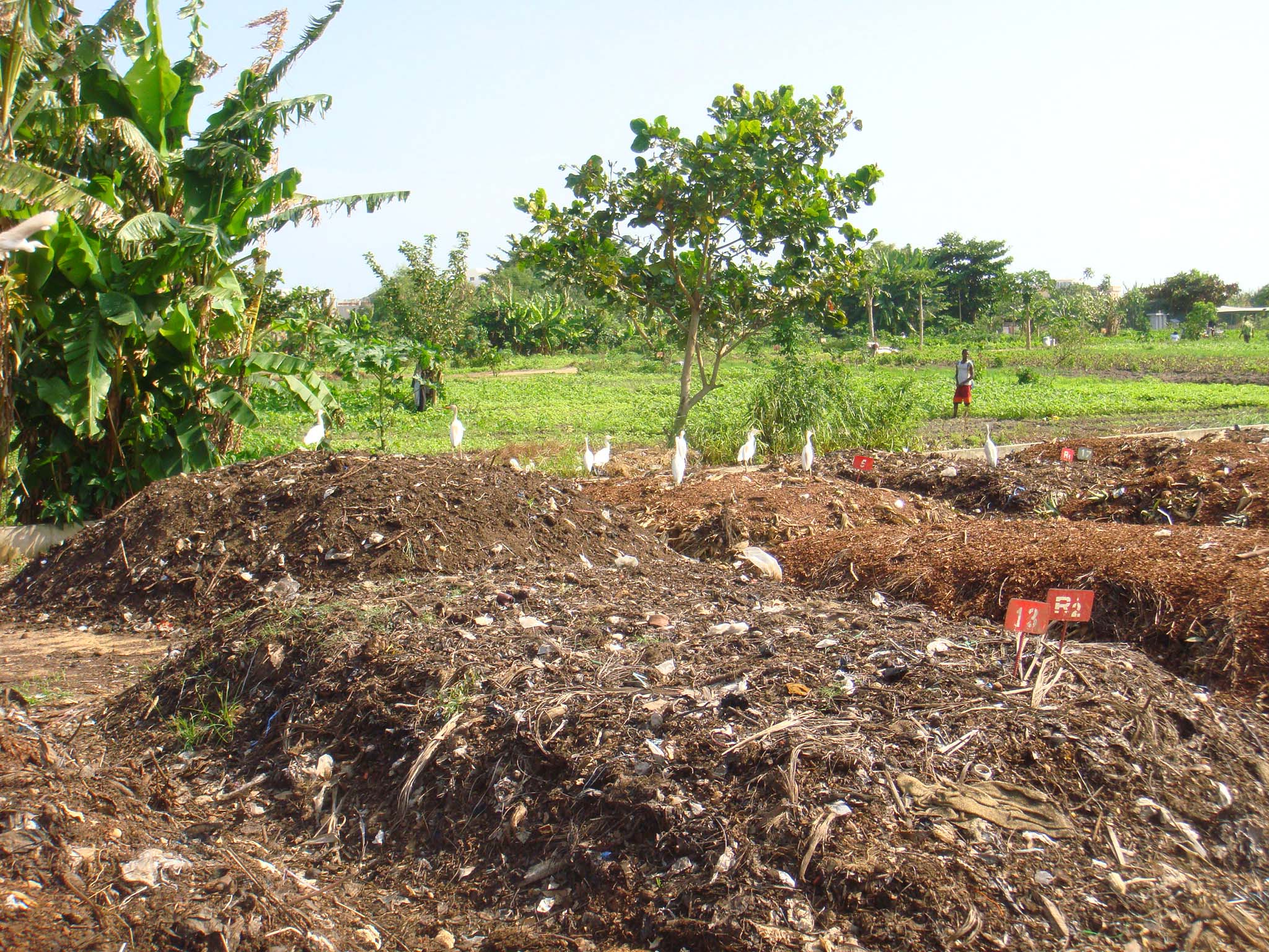 2048x1536 An underestimated threat: the pollution of land by microplastics Soup Foundation