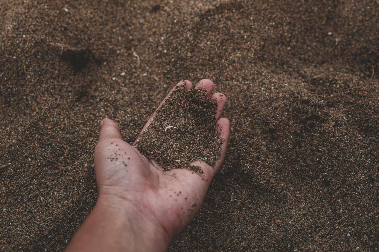 1568x1045 Soil Pollution: The Elephant Genie In The Room And How We Can Gradually Put It Back Into The Bottle