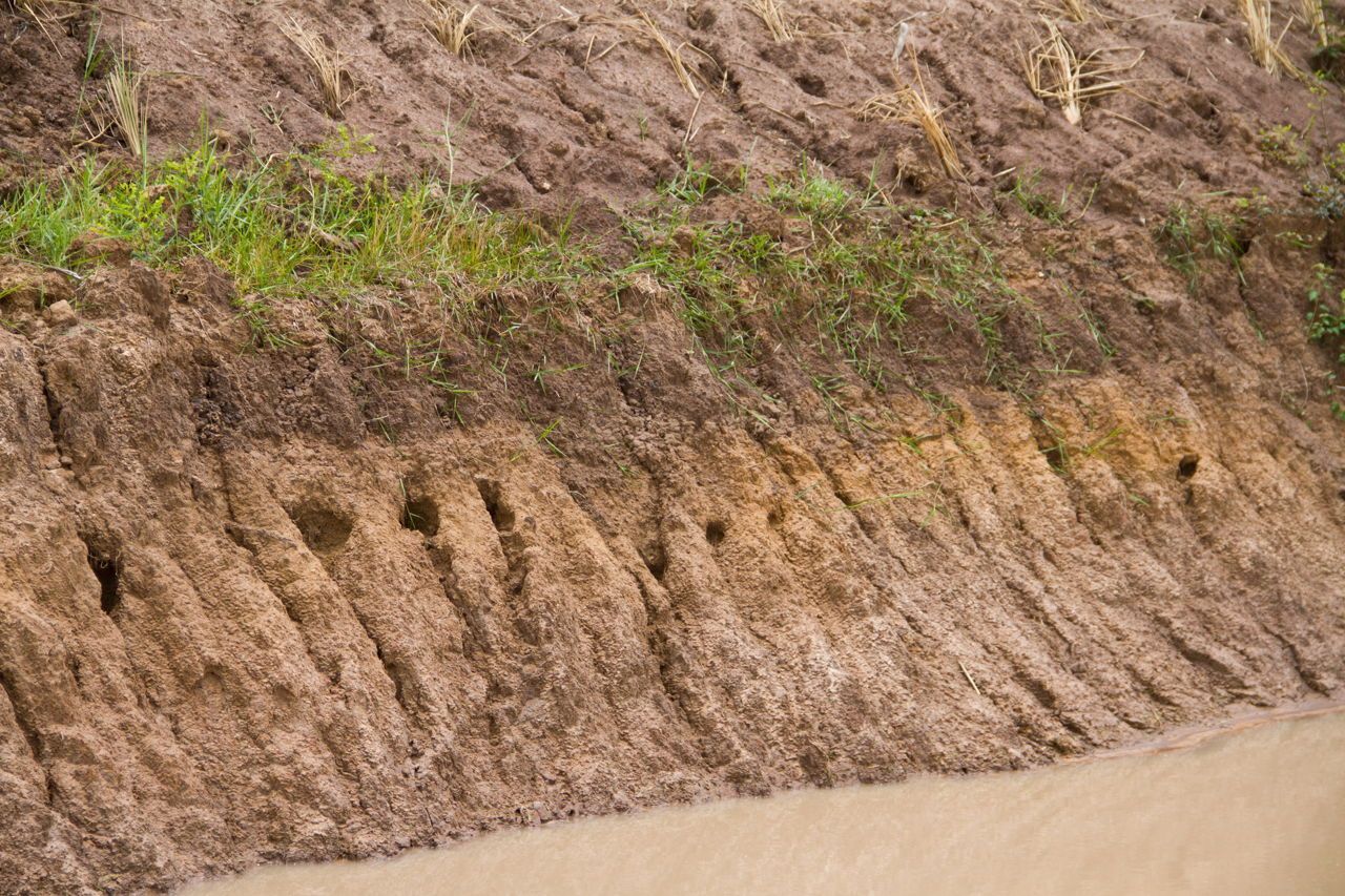 1280x853 Soil Pollution Causes And Effects That Are Seriously Eye Opening Save Nature