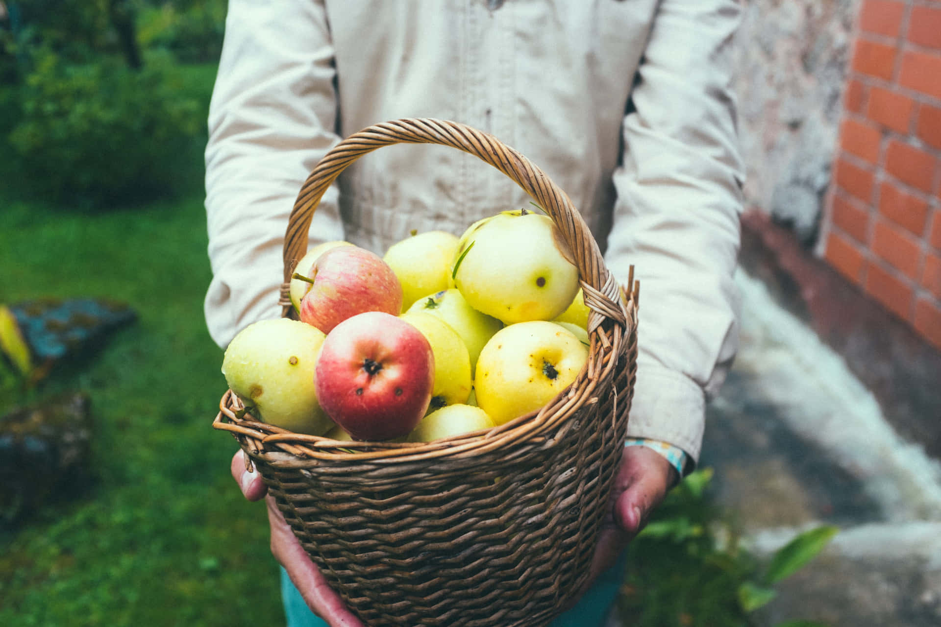 1920x1280 Download Caption: A family enjoying a day of apple picking at a scenic orchard Wallpaper